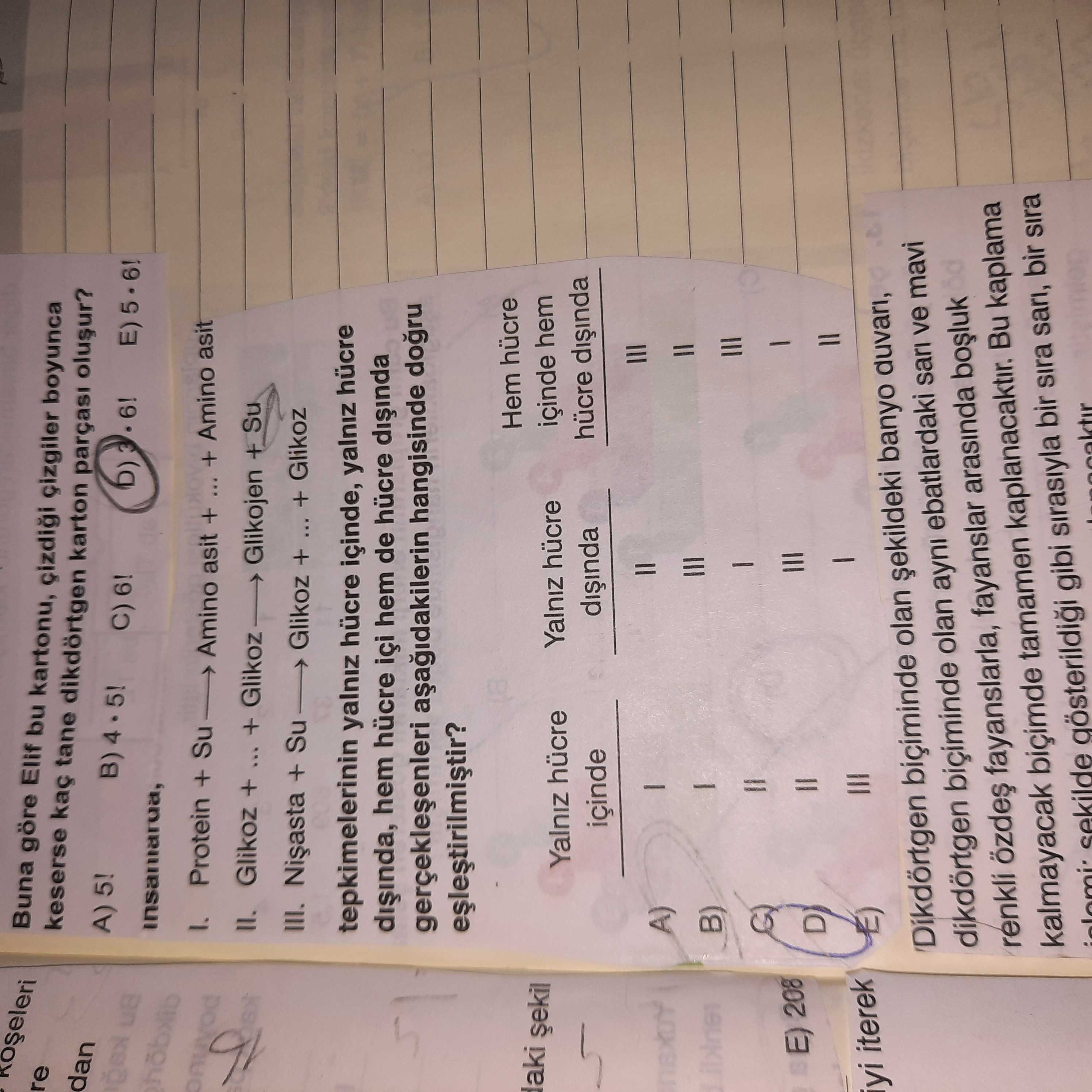 Buna göre Elif bu kartonu, boyunca re keserse kaç tane dikdörtgen karton parçasi dan A) 5. B) 5. C) و) 6. E) Protein + Su Amino asit + + Amino asit + + Glikojen + Su III. + Su + + tepkimelerinin yalniz hücre içinde, yalniz hücre hem hücre içi hem de hücre hangisinde Hem hücre aki içinde hem Yalniz hücre Yalniz hücre içinde A) B) E) 208 D iterek olan banyo duvari, dikdörtgen biçiminde olan ayni ebatlardaki sari ve mavi renkli fayanslarla, fayanslar arasinda kalmayacak biçimde tamamen kaplanacaktir. Bu kaplama gibi sirasiyla bir sira sari, bir sira Buna göre Elif bu kartonu, boyunca re keserse kaç tane dikdörtgen karton parçasi dan A) 5. Bu kaplama gibi sirasiyla bir sira sari, bir sira. ?? Model.Question.title