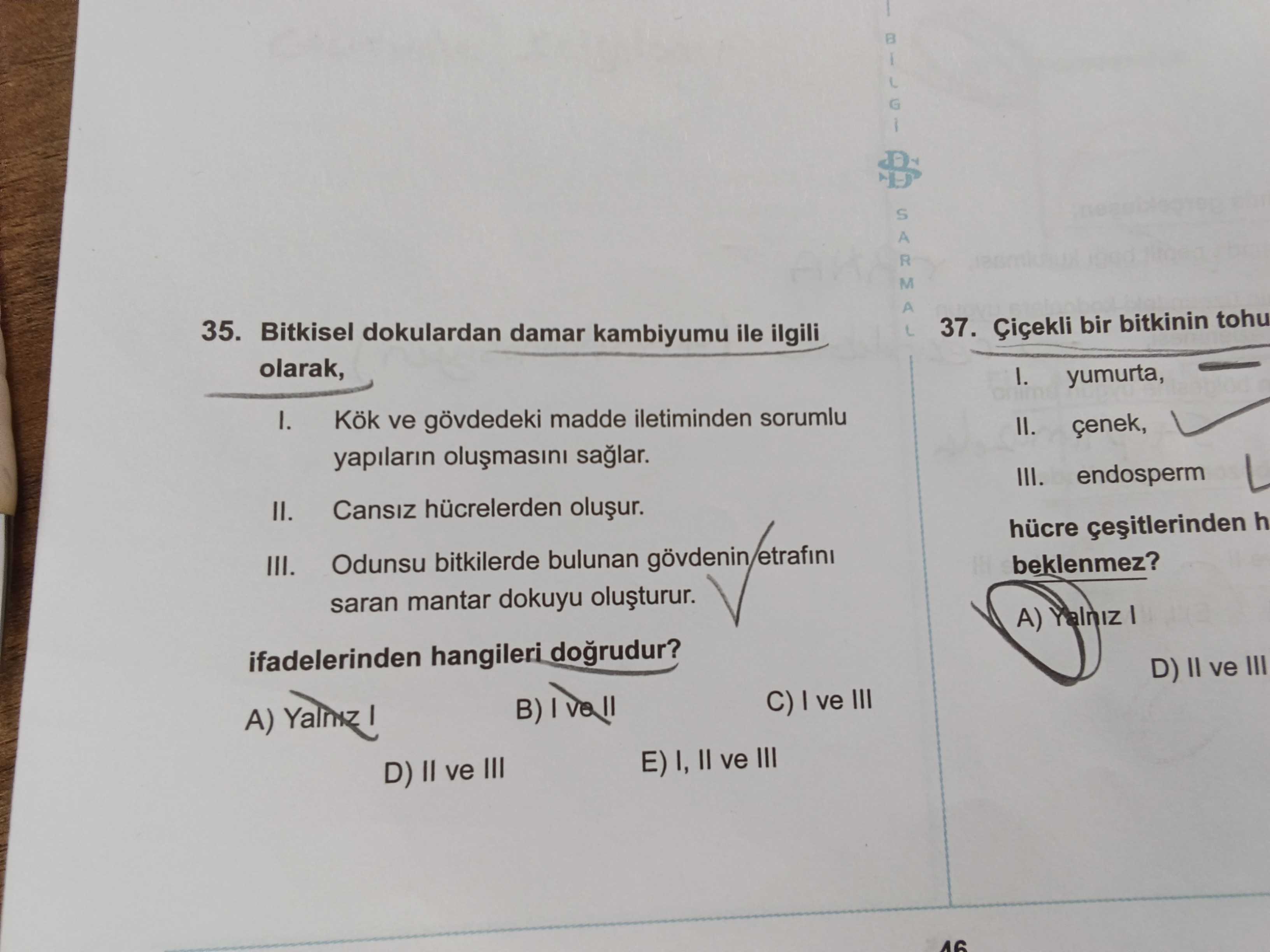 Bitkisel dokulardan damar kambiyumu ile ilgili olarak, I. Kök ve gövdedeki madde iletiminden sorumlu
