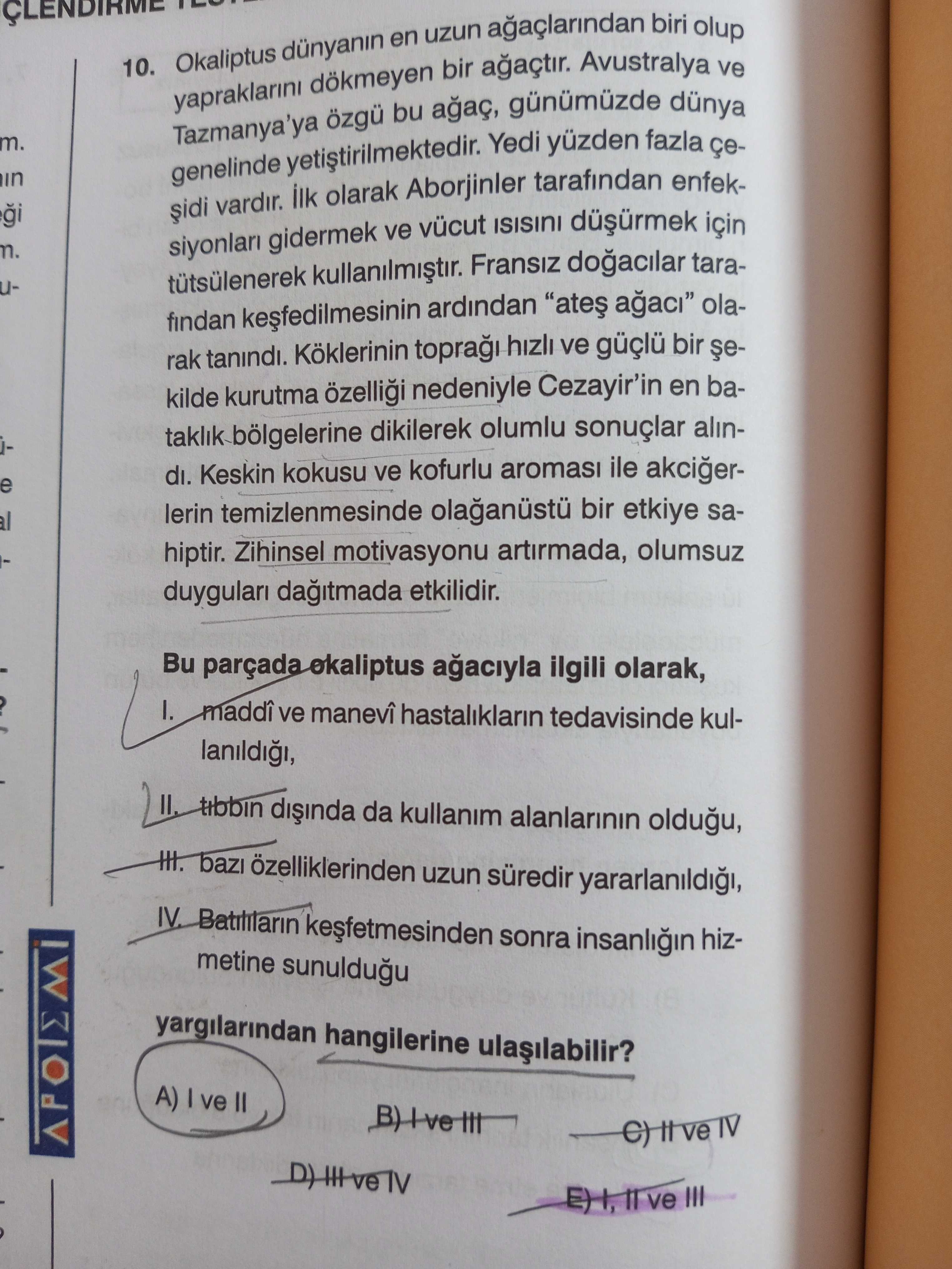 Okaliptus dünyanın en uzun ağaçlarından biri olup yapraklarını dökmeyen bir ağaçtır. Avustralya ve