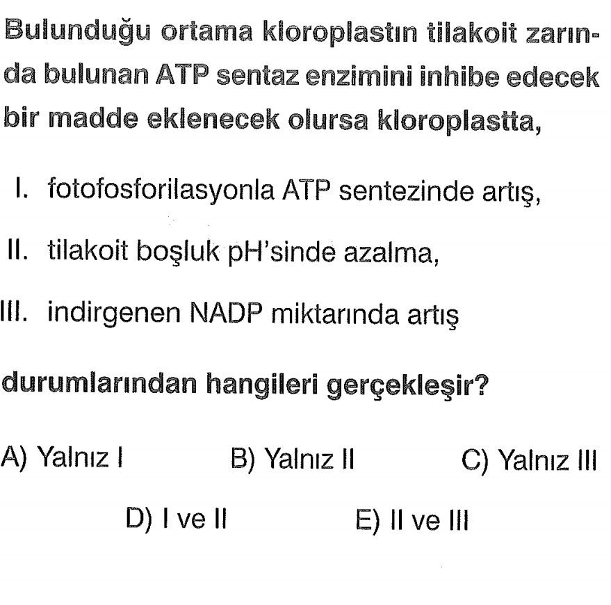 Bulunduğu ortama kloroplastın tilakoit zarında bulunan ATP sentaz enzimini inhibe edecek bir madde