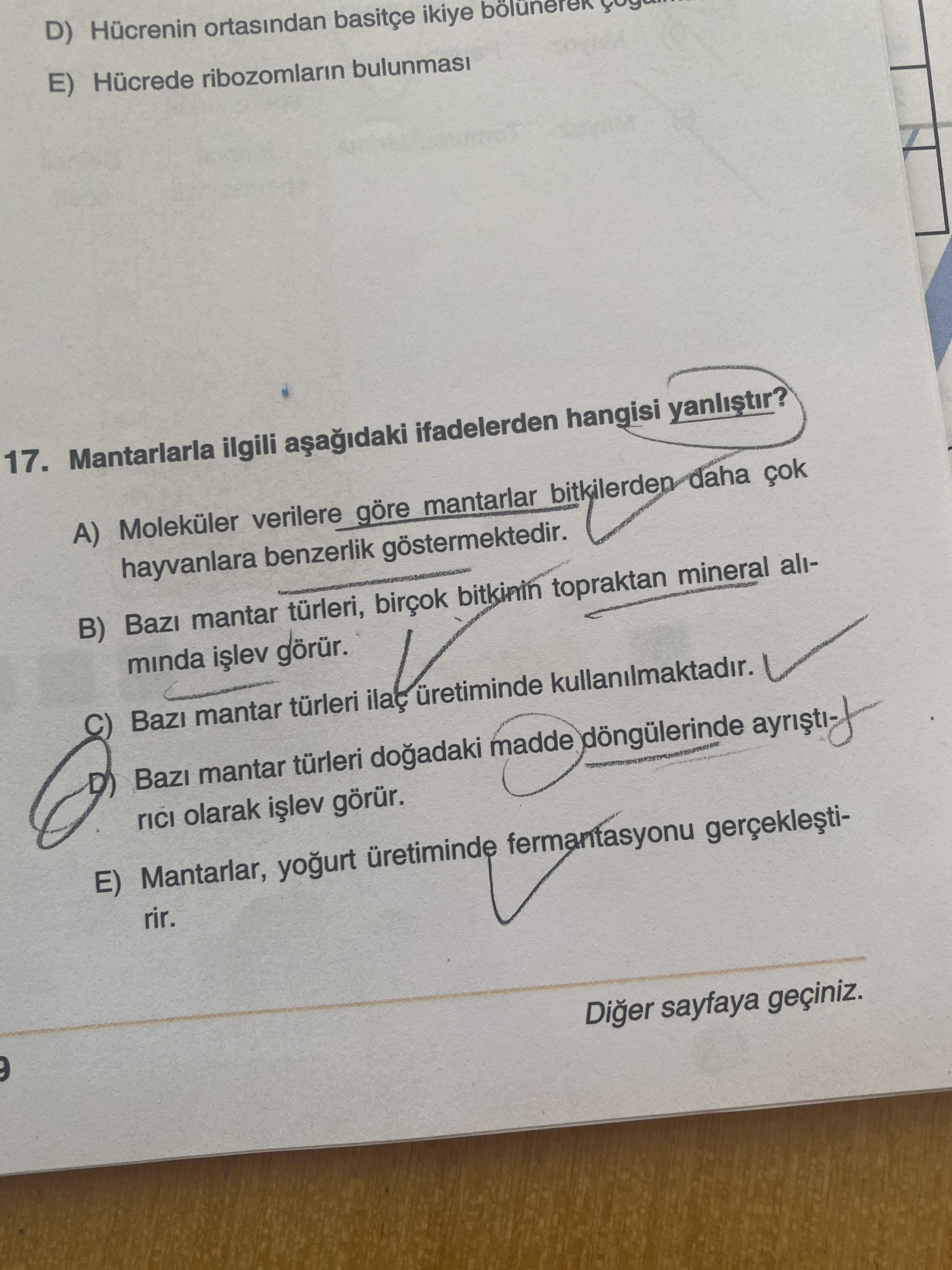 Mantarlarla ilgili aşağıdaki ifadelerden hangisi yanlıştır?