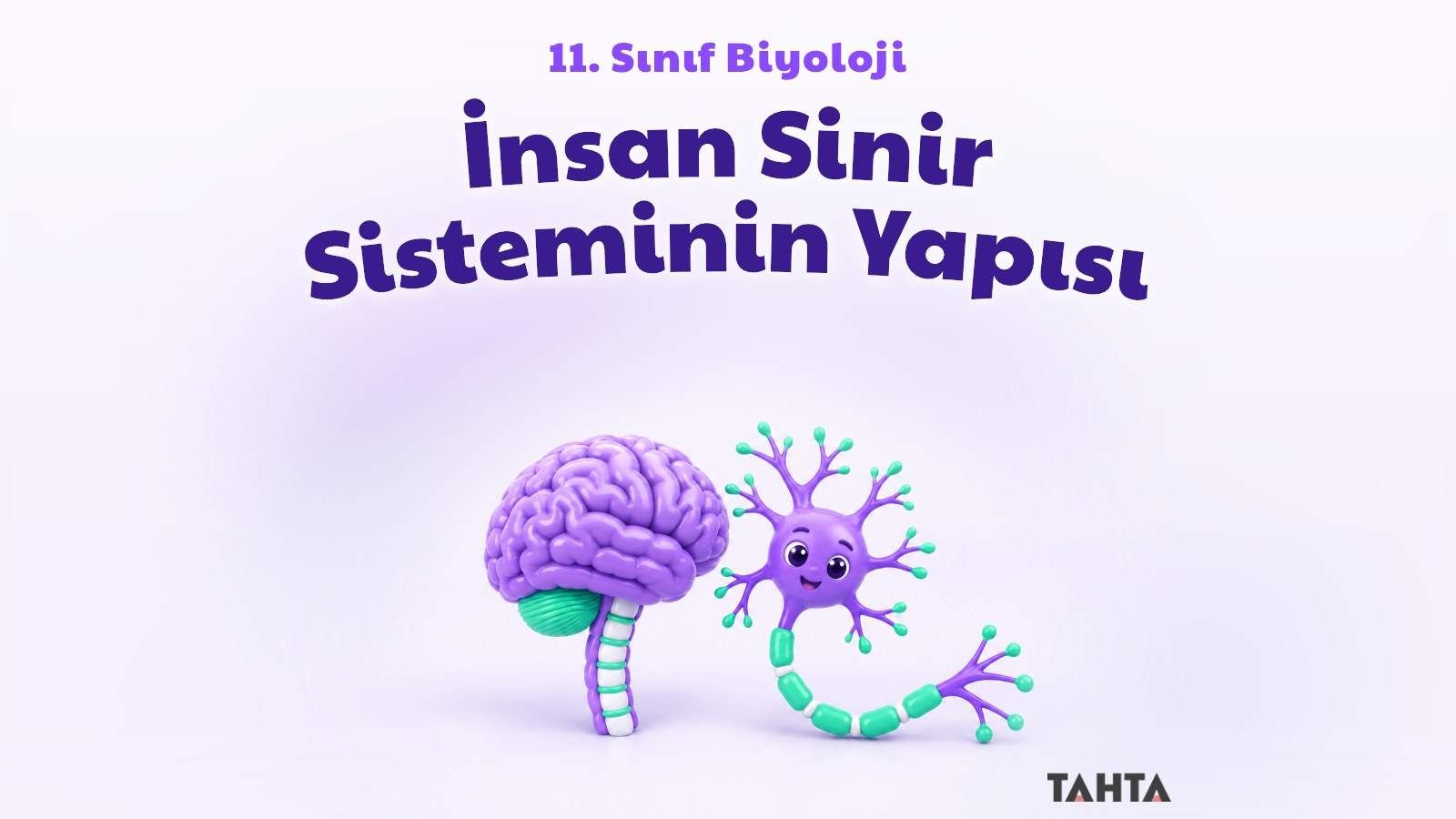 Mor ve yeşil tonlarında üç boyutlu beyin, omurilik ve nöron modeli içeren ders kapağı