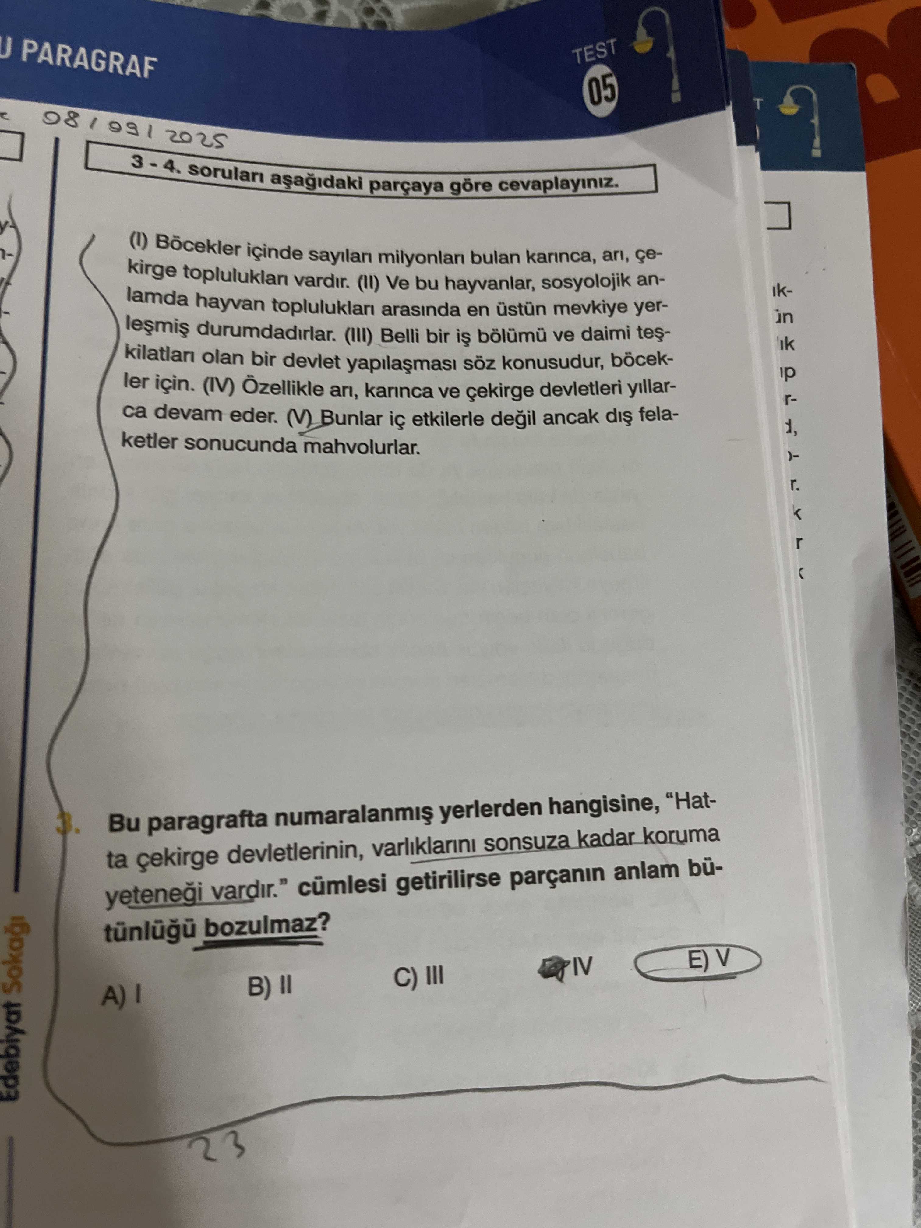 Türkçe (12. Sınıf)