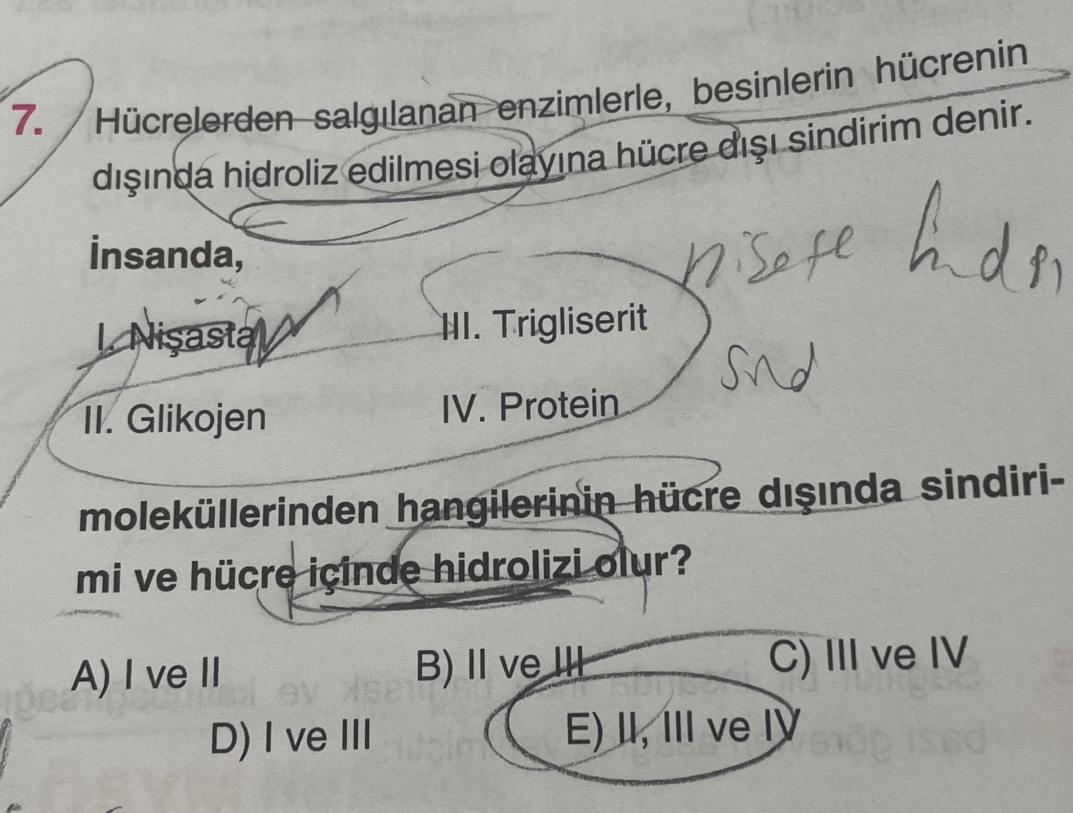 Hücrelerden salgılanan enzimlerle, besinlerin hücrenin dışında hidroliz edilmesi olayına hücre dışı