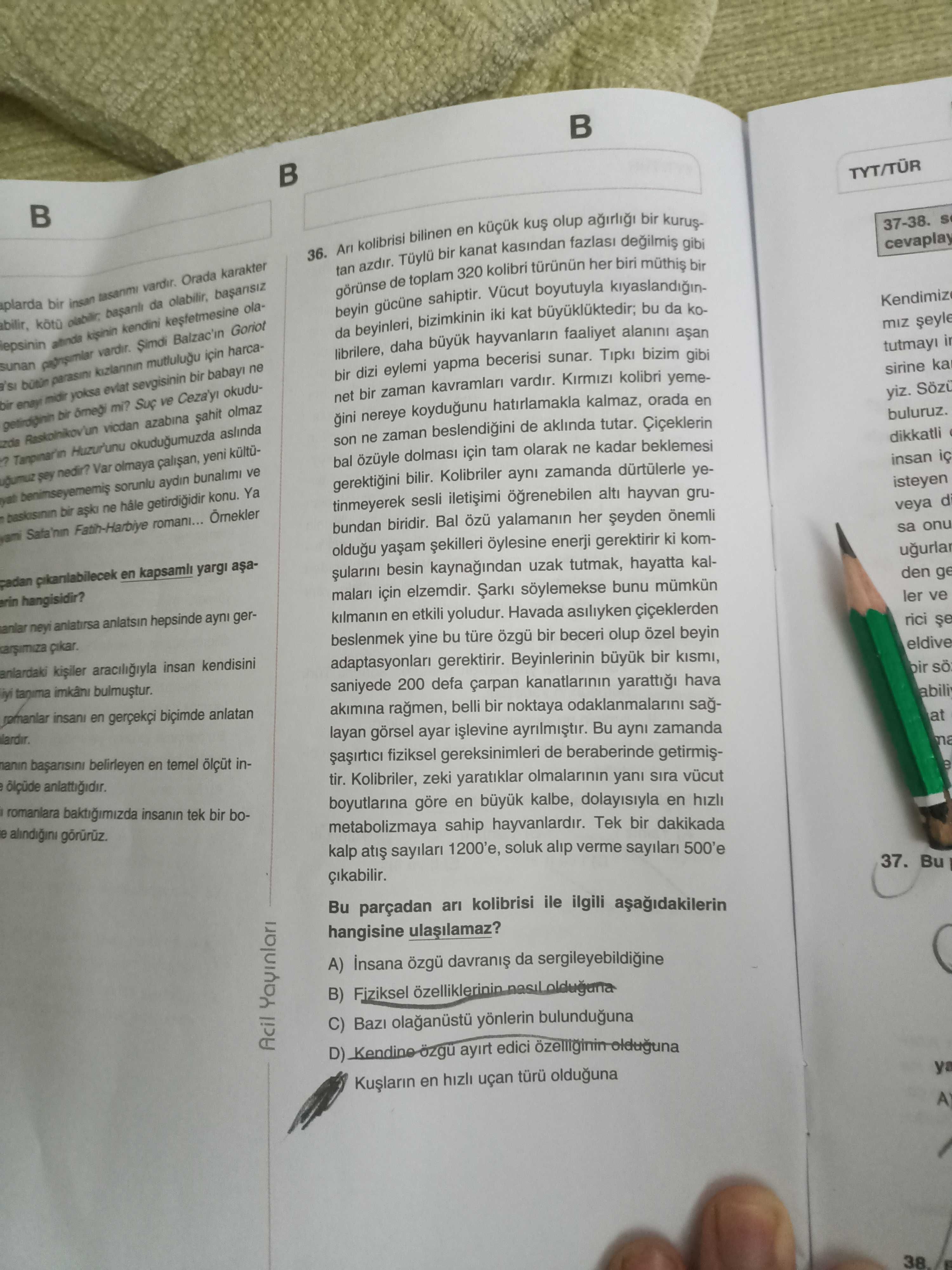 Arı kolibrisi bilinen en küçük kuş olup ağırlığı bir kuruştan azdır. Tüylü bir kanat kasından