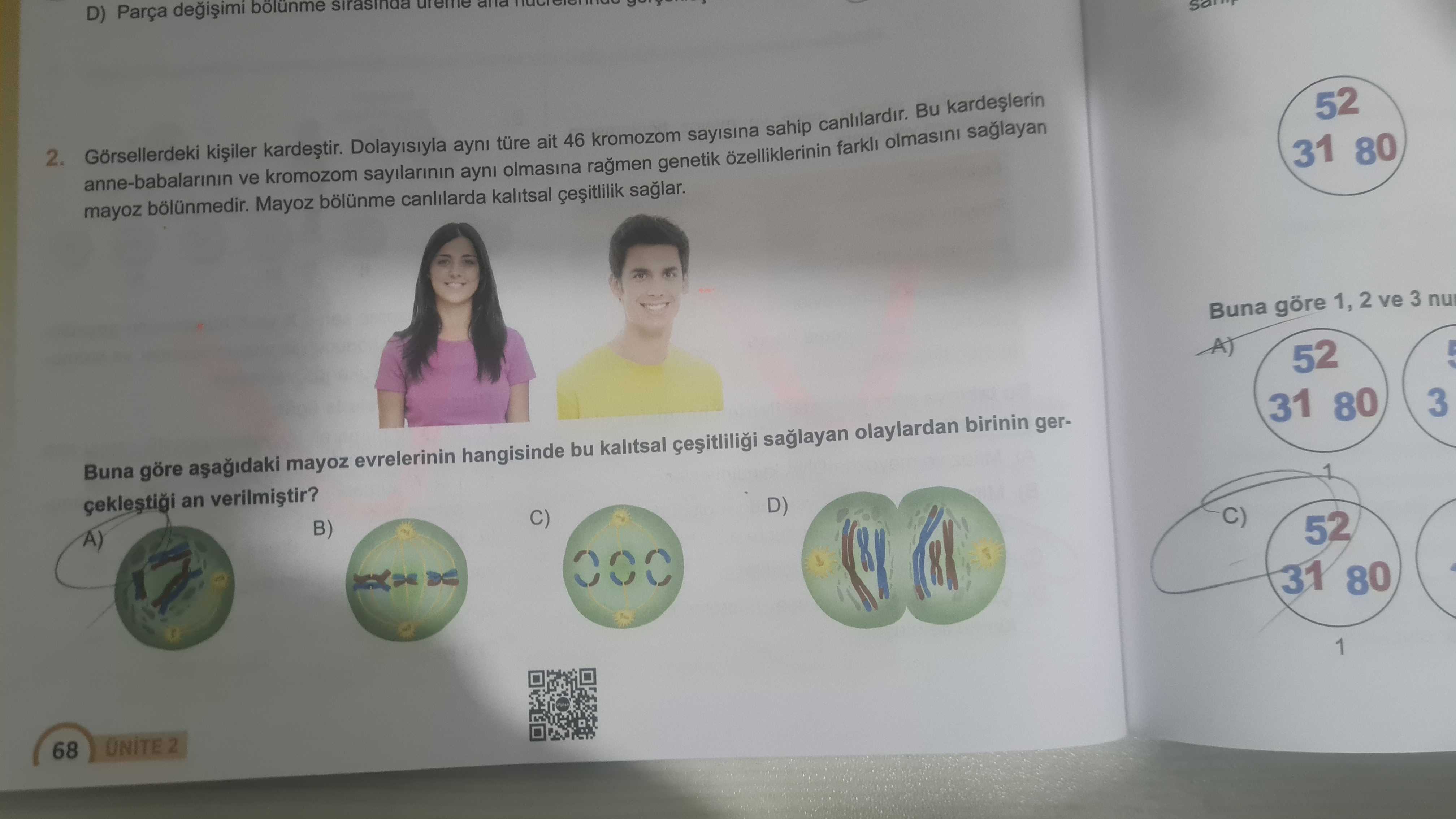 Görsellerdeki kişiler kardeştir. Dolayısıyla aynı türe ait 46 kromozom sayısına sahip canlılardır