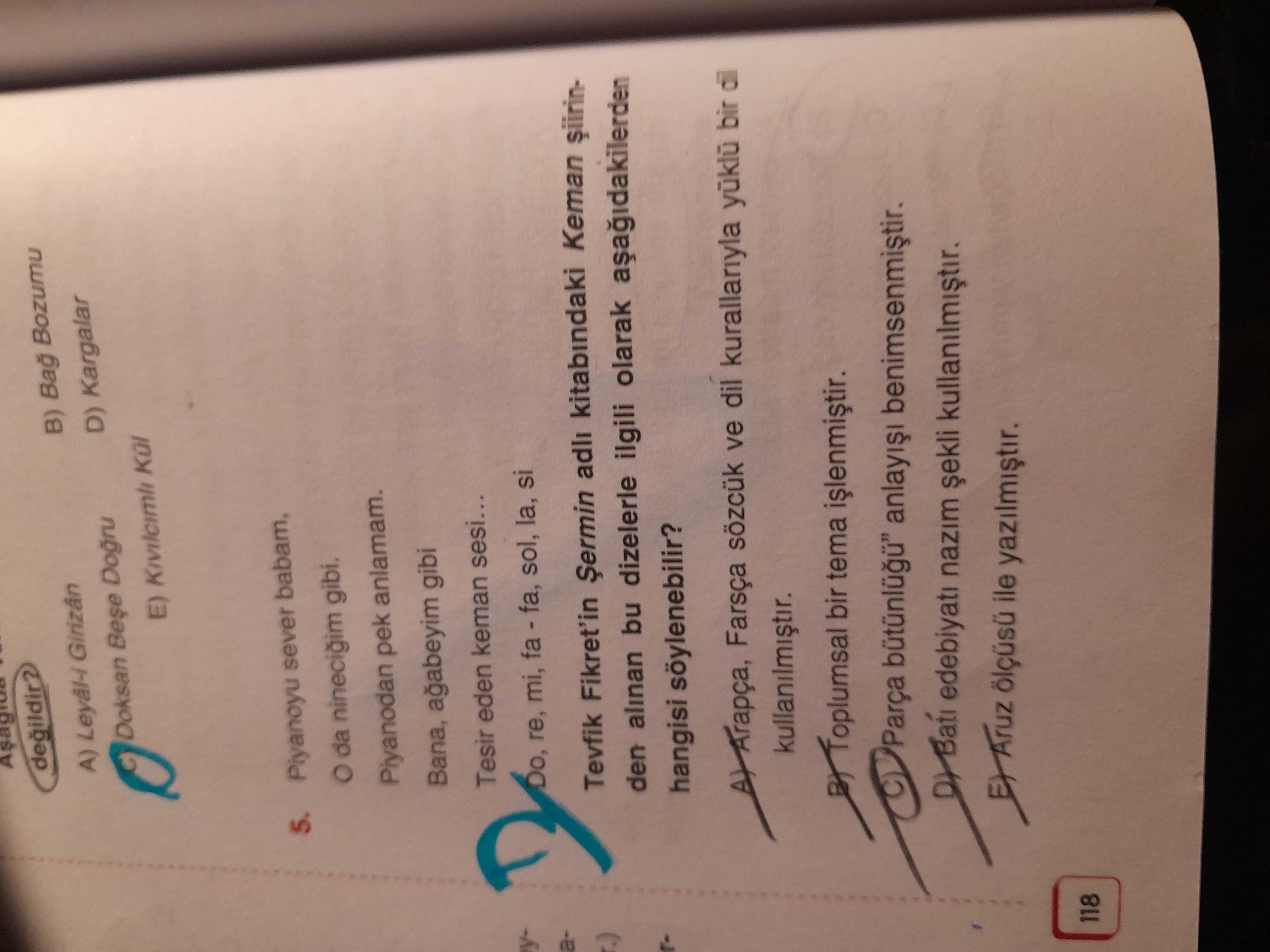 Piyanoyu sever babam, O da nineciğim gibi. Piyanodan pek anlamam. Bana, ağabeyim gibi Tesir eden