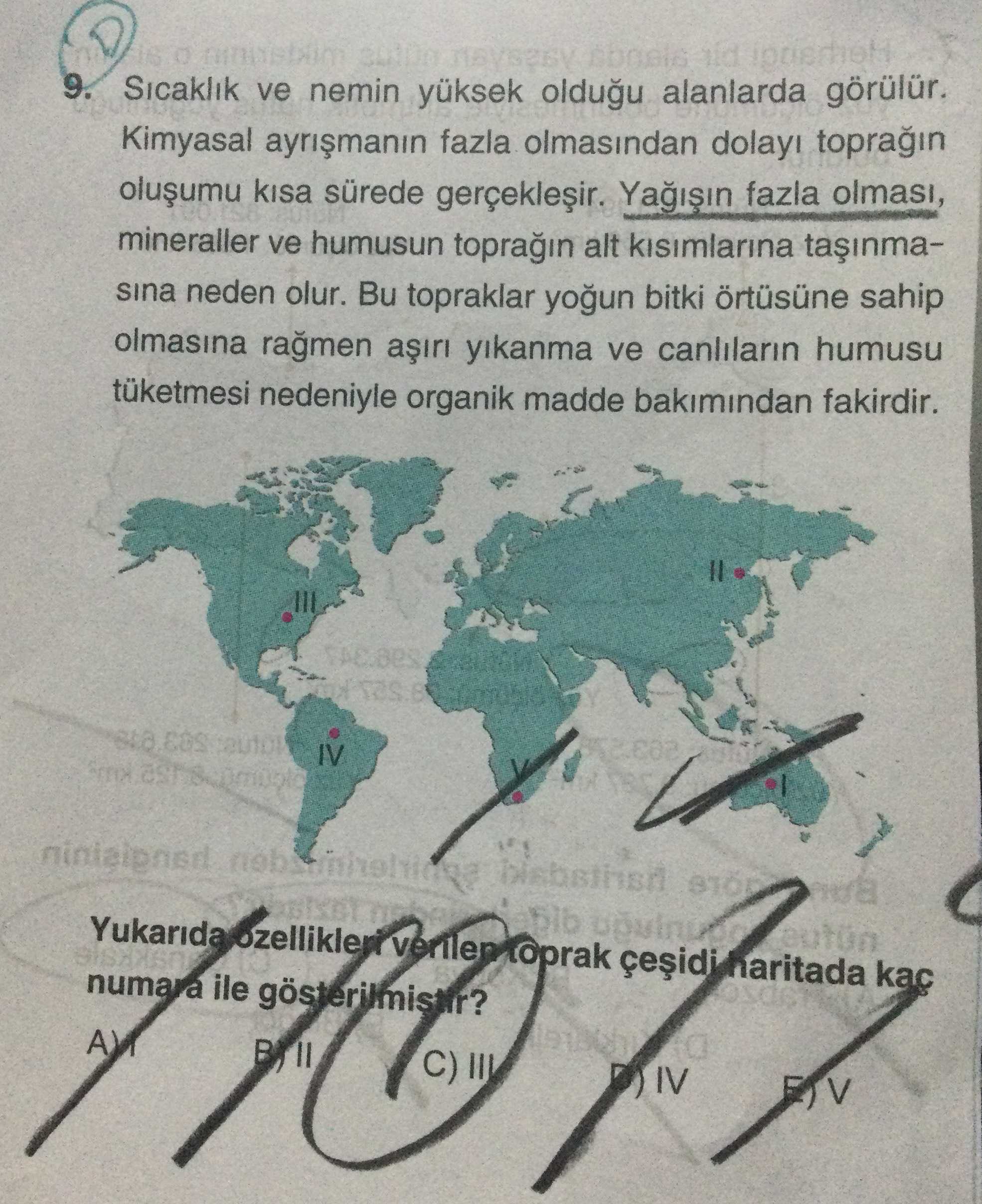 Sıcaklık ve nemin yüksek olduğu alanlarda görülür. Kimyasal ayrışmanın fazla olmasından dolayı