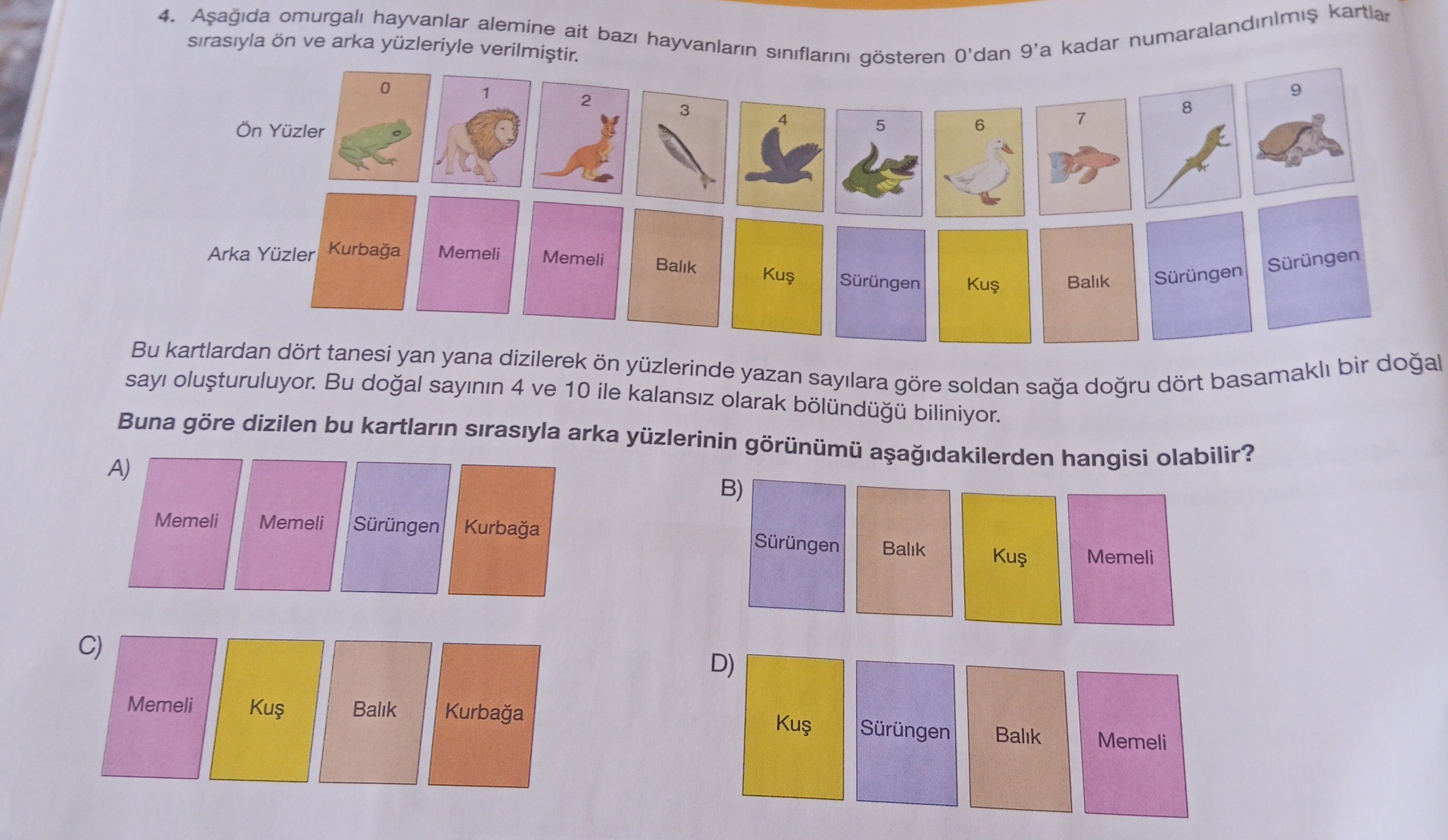 Aşağıda omurgalı hayvanlar alemine ait bazı hayvanların sınıflarını gösteren 0'dan 9'a kadar