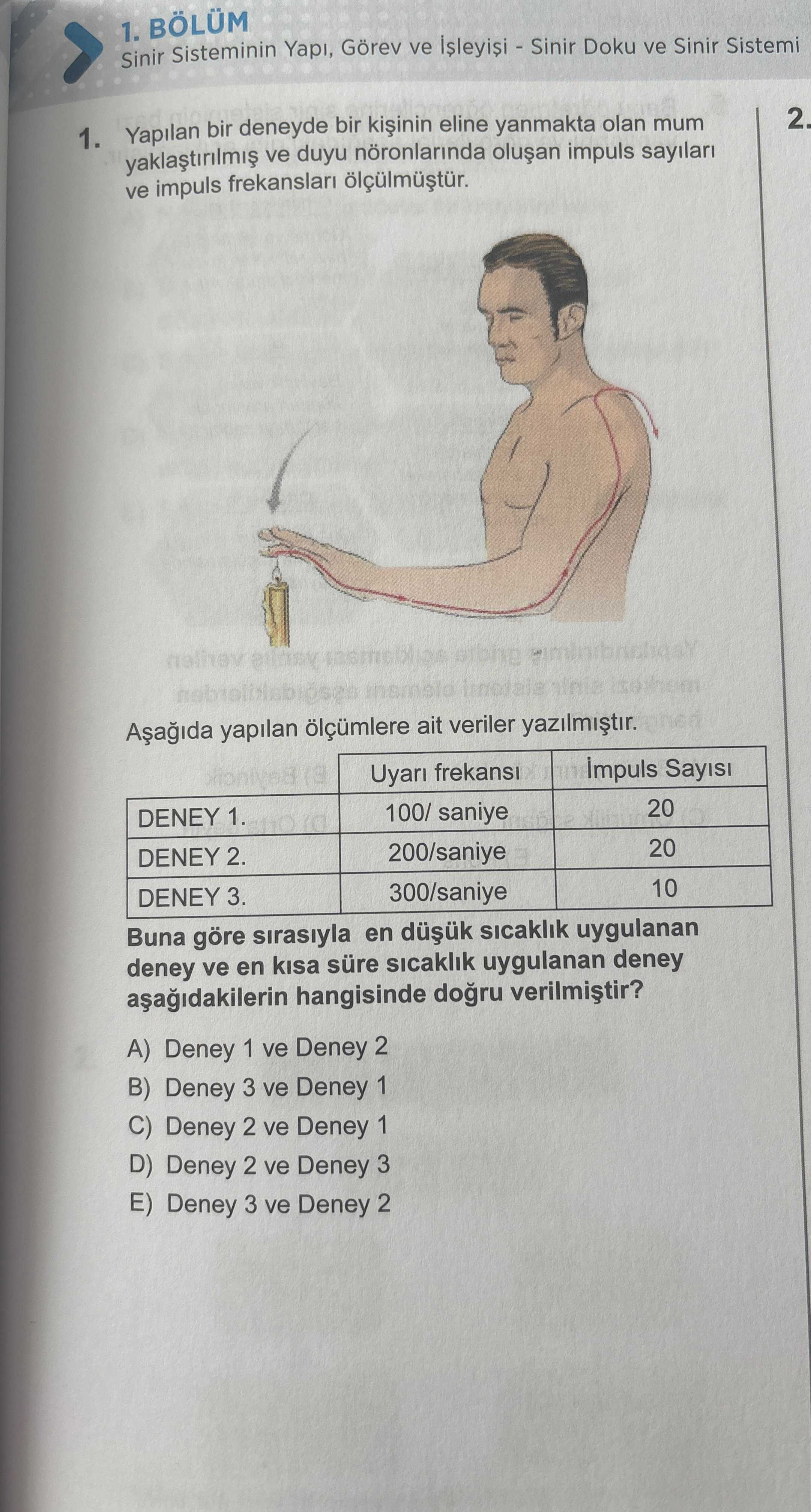 Yapılan bir deneyde bir kişinin eline yanmakta olan mum yaklaştırılmış ve duyu nöronlarında oluşan