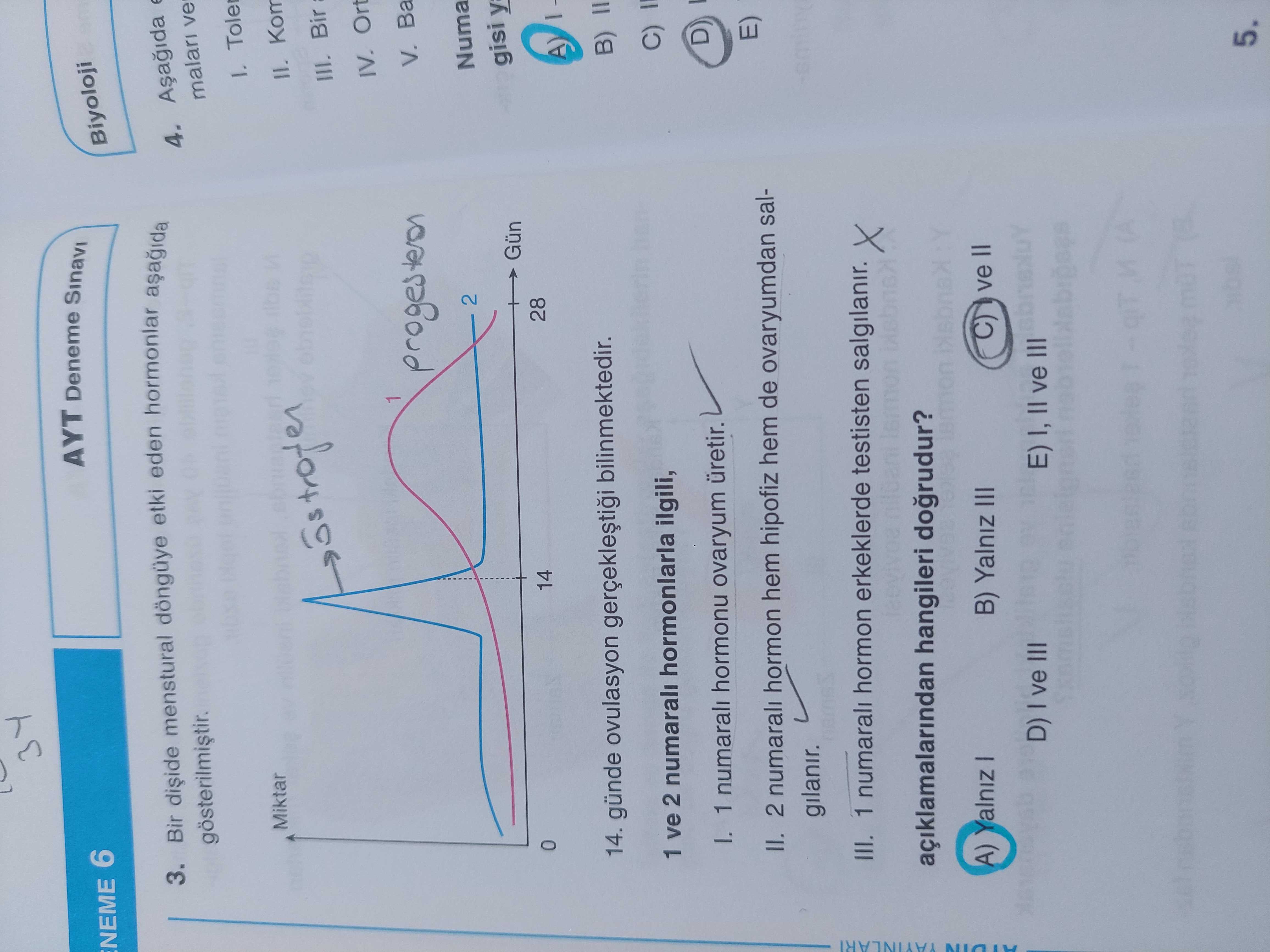 Bir dişide menstural döngüye etki eden hormonlar aşağıda gösterilmiştir. 14. günde ovulasyon