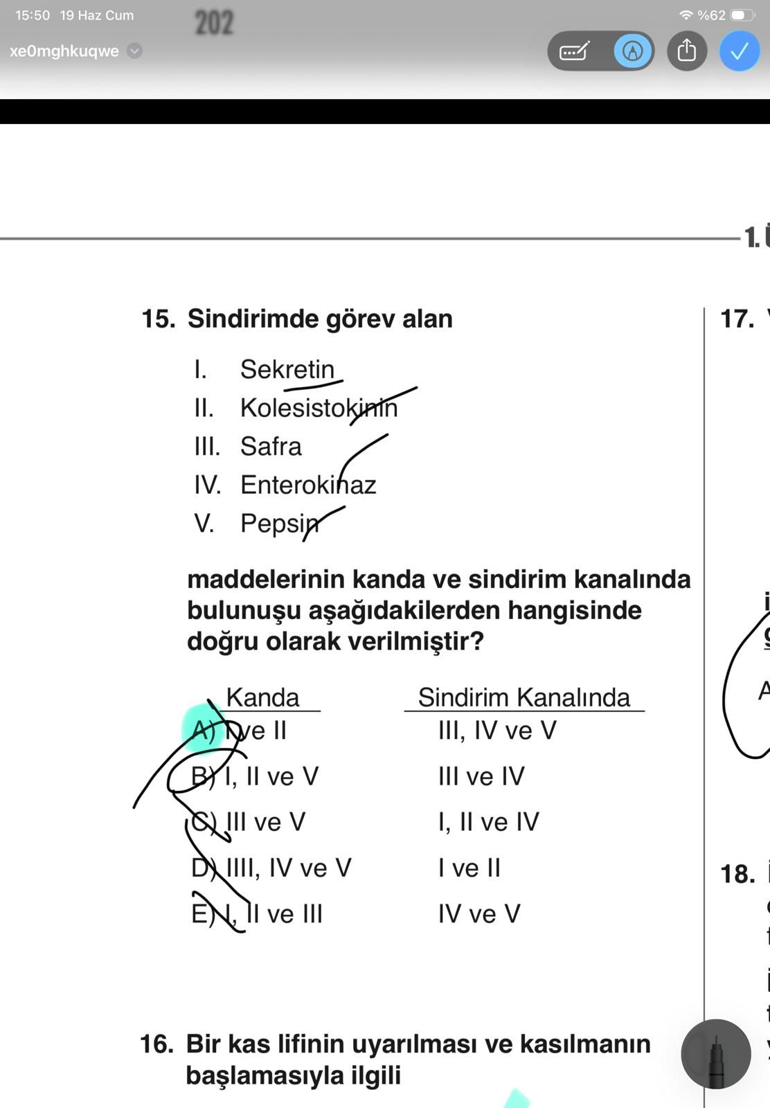 Sindirimde görev alan I. Sekretin II. Kolesistokinin III. Safra IV. Enterokinaz V. Pepsin