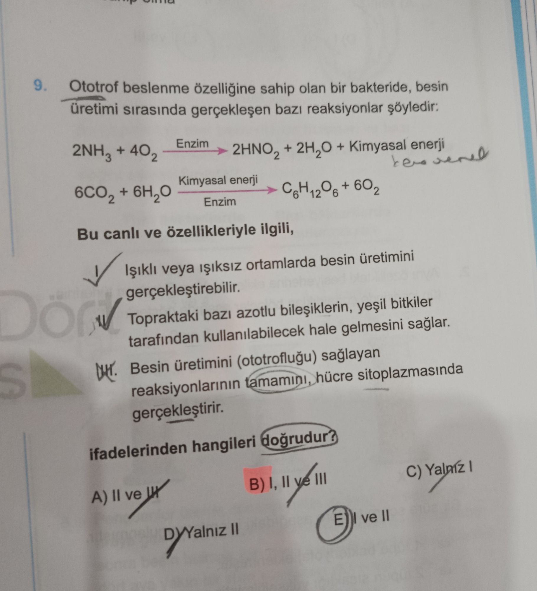 Ototrof beslenme özelliğine sahip olan bir bakteride, besin üretimi sırasında gerçekleşen bazı