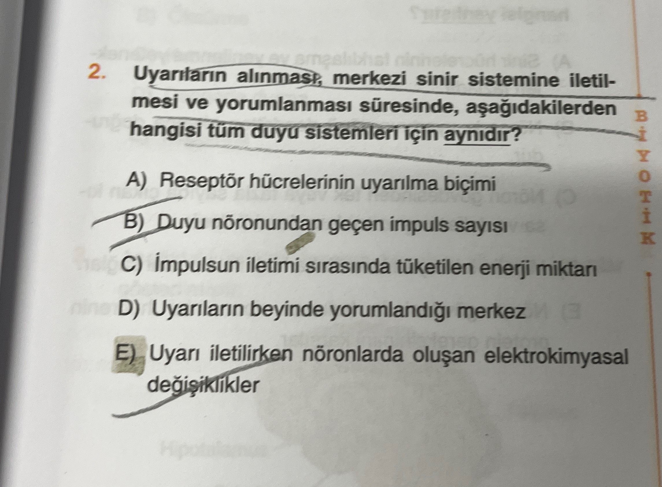 Uyarıların alınması, merkezi sinir sistemine iletilmesi ve yorumlanması süresinde, aşağıdakilerden