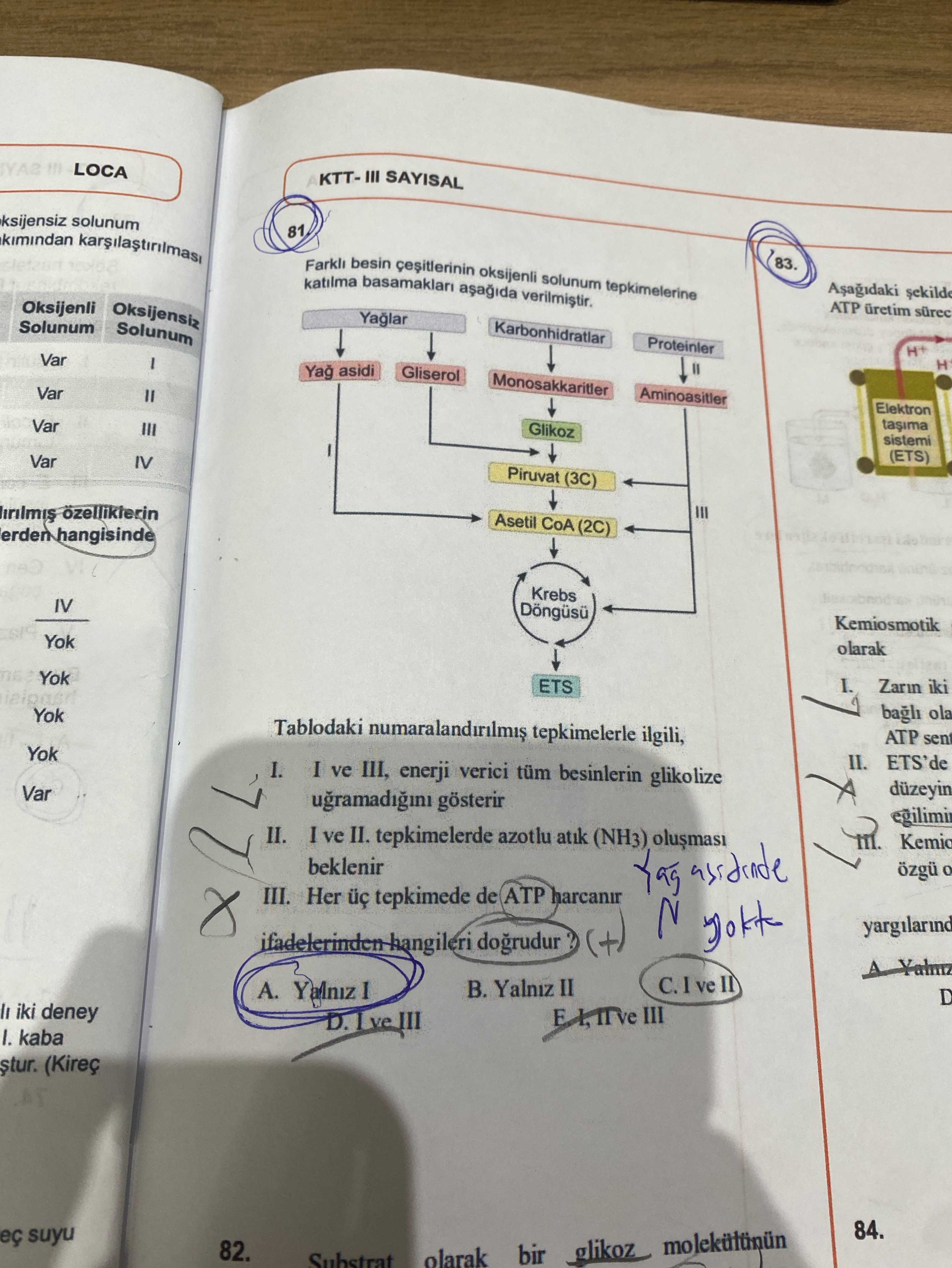 Farklı besin çeşitlerinin oksijenli solunum tepkimelerine katılma basamakları aşağıda verilmiştir
