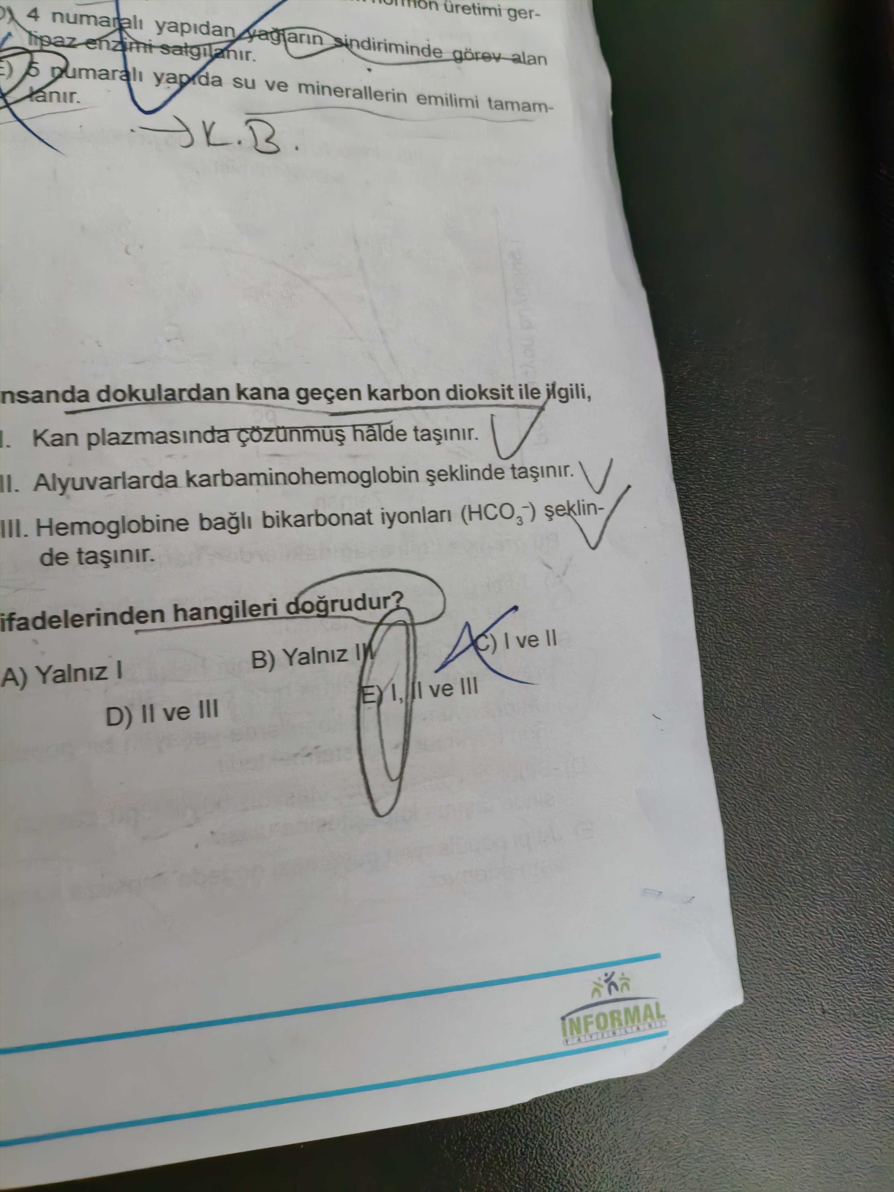 İnsanda dokulardan kana geçen karbon dioksit ile ilgili, I. Kan plazmasında çözünmuş hâlde taşınır