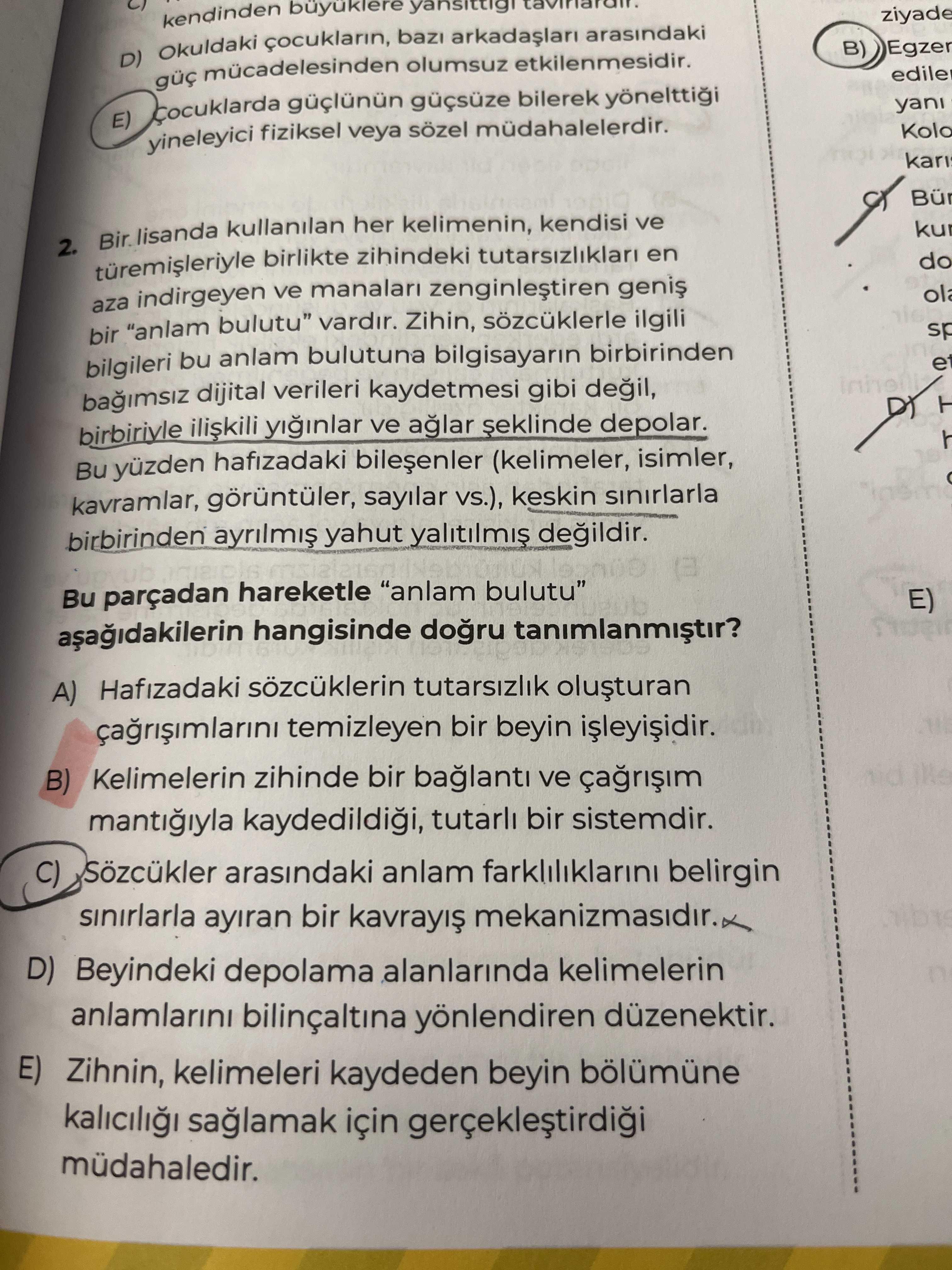 Türkçe (12. Sınıf)