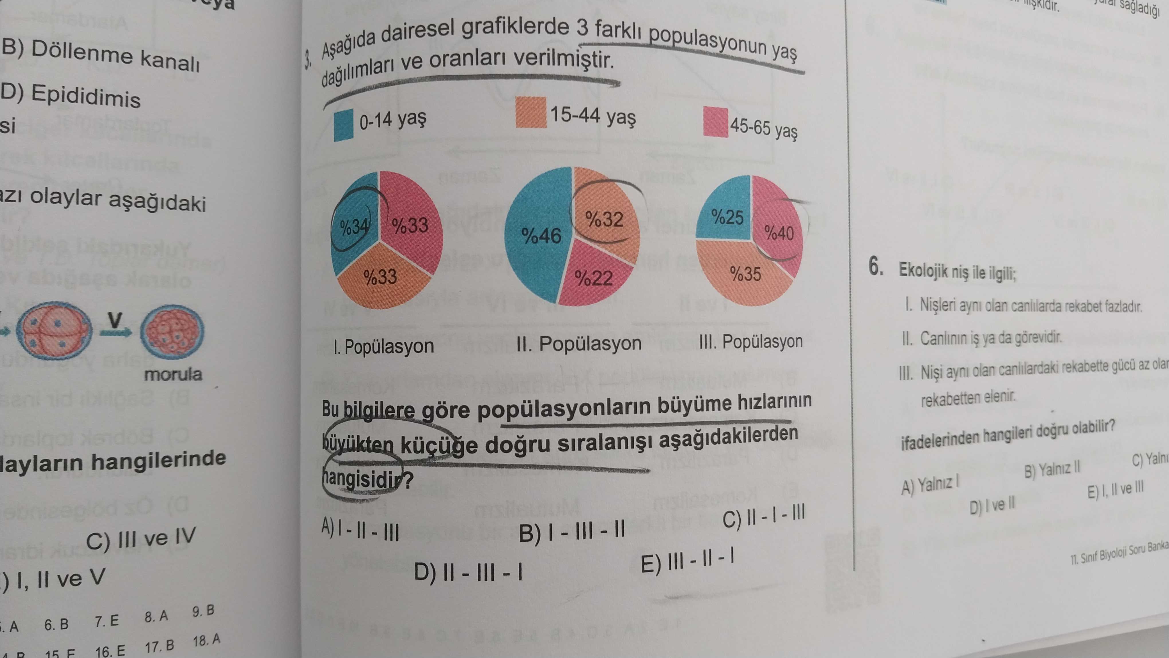B) Döllenme kanali 3. dairesel grafiklerde 3 farkli populasyonun yas ve oranlari D) Epididimis 15-44 si 0-14 45-65 olaylar %25 %32 %33 %34 %40 %46 6. Ekolojik ile ilgili; %35 %33 %22 rekabet fazladir. V II. Canlinin is ya da III. Popülasyon II. Popülasyon morula III. ayni olan rekabette az olar rekabetten elenir. Bu bilgilere göre popülasyonlarin büyüme küçüge ifadelerinden hangileri olabilir. laylarin hangilerinde C) Yalni B) Yalniz A) Yalniz E) ve D) ve C) III ve IV E) 11. Sinif Biyoloji Soru Banka II ve V 15 F 17. B. ?? Model.Question.title
