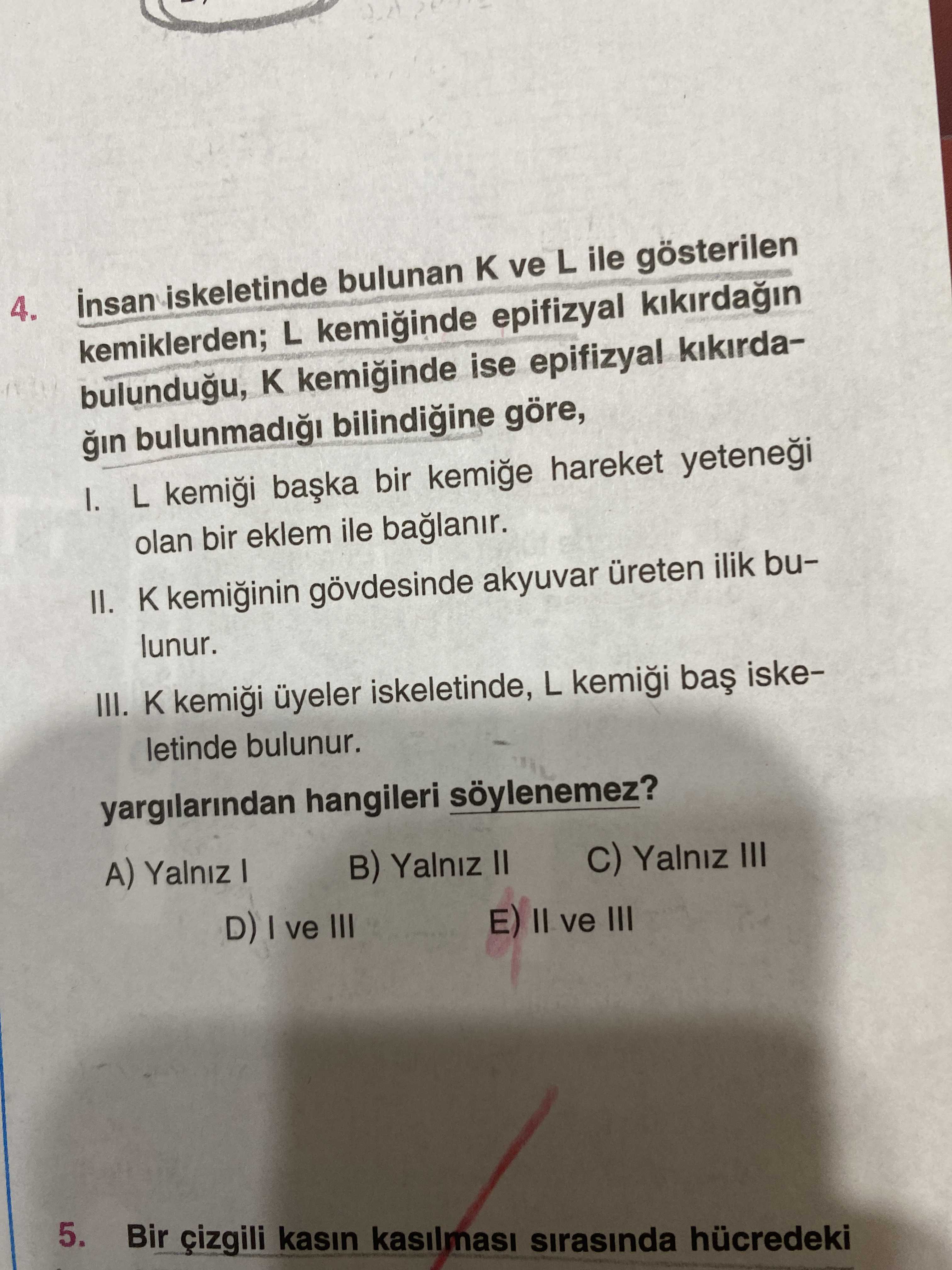 İnsan iskeletinde bulunan K ve L ile gösterilen kemiklerden; L kemiğinde epifizyal kıkırdağın