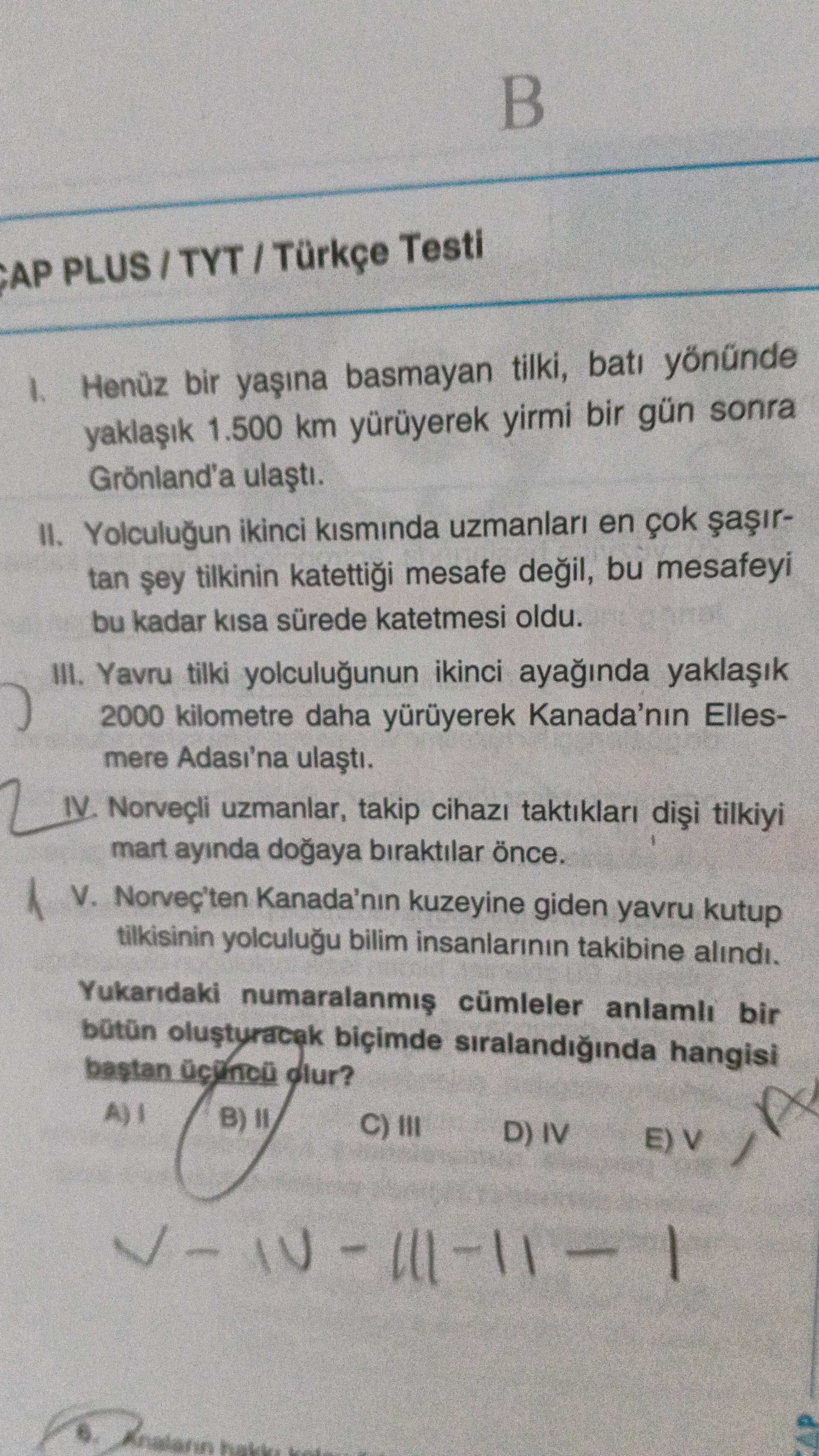 I. Henüz bir yaşına basmayan tilki, batı yönünde yaklaşık 1.500 km yürüyerek yirmi bir gün sonra