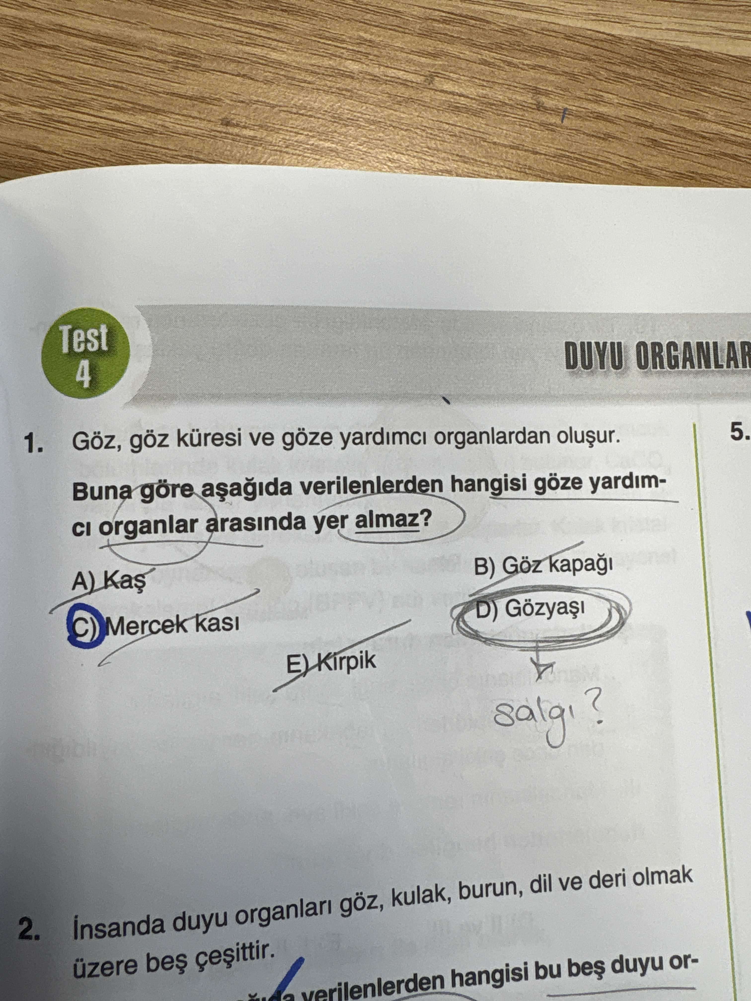 Göz, göz küresi ve göze yardımcı organlardan oluşur. Buna göre aşağıda verilenlerden hangisi göze
