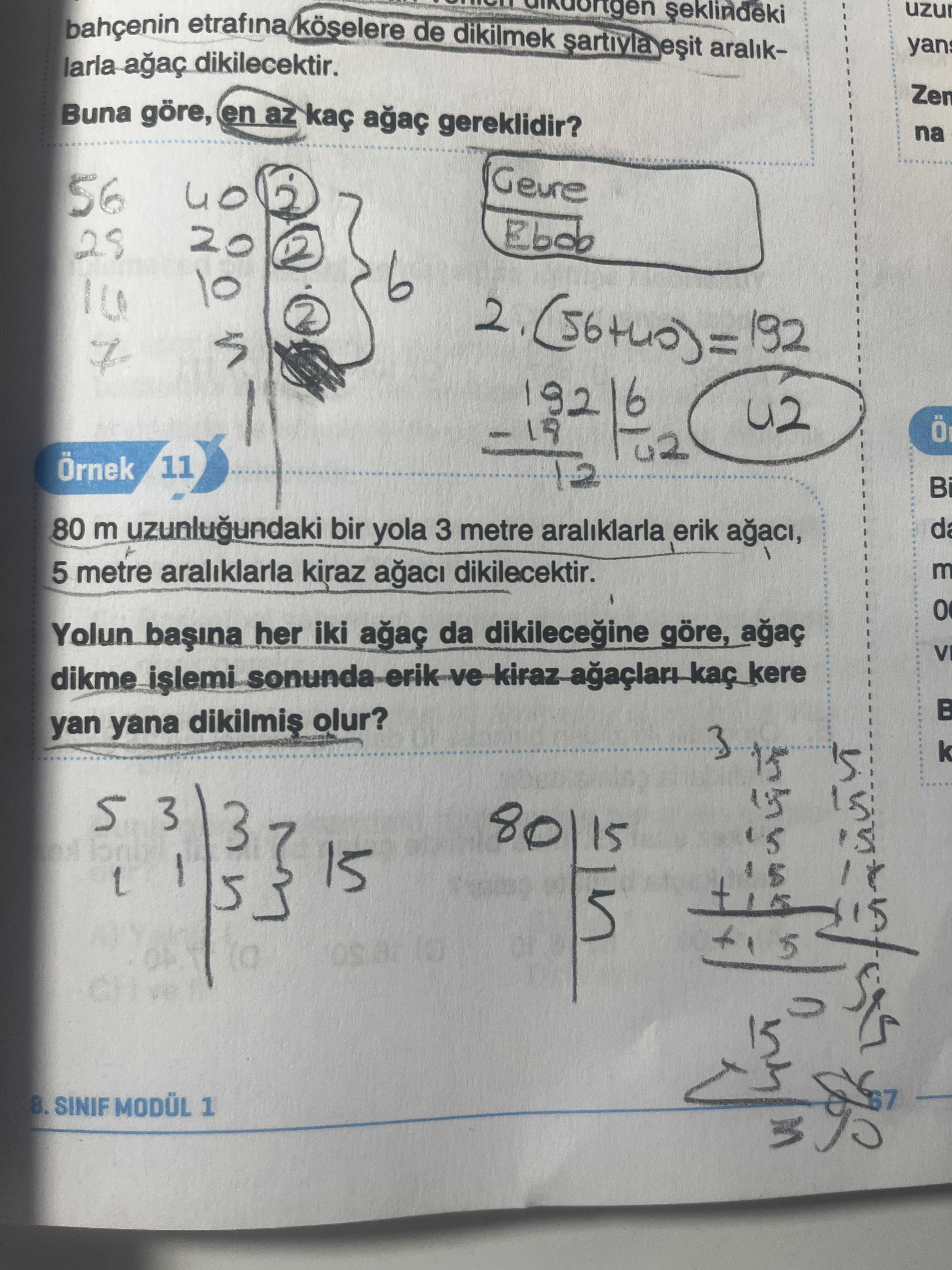 Matematik (8. Sınıf)