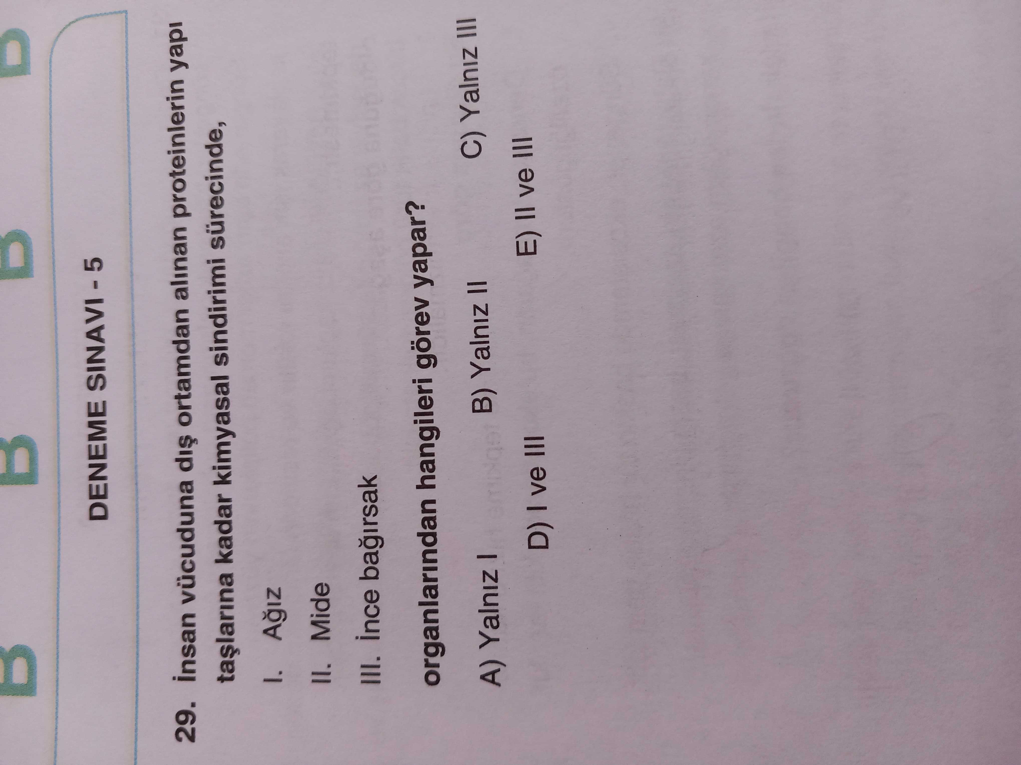 İnsan vücuduna dış ortamdan alınan proteinlerin yapı taşlarına kadar kimyasal sindirimi sürecinde