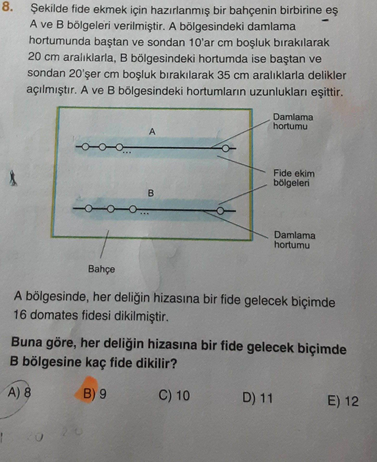Şekilde fide ekmek için hazırlanmış bir bahçenin birbirine eş A ve B bölgeleri verilmiştir. A
