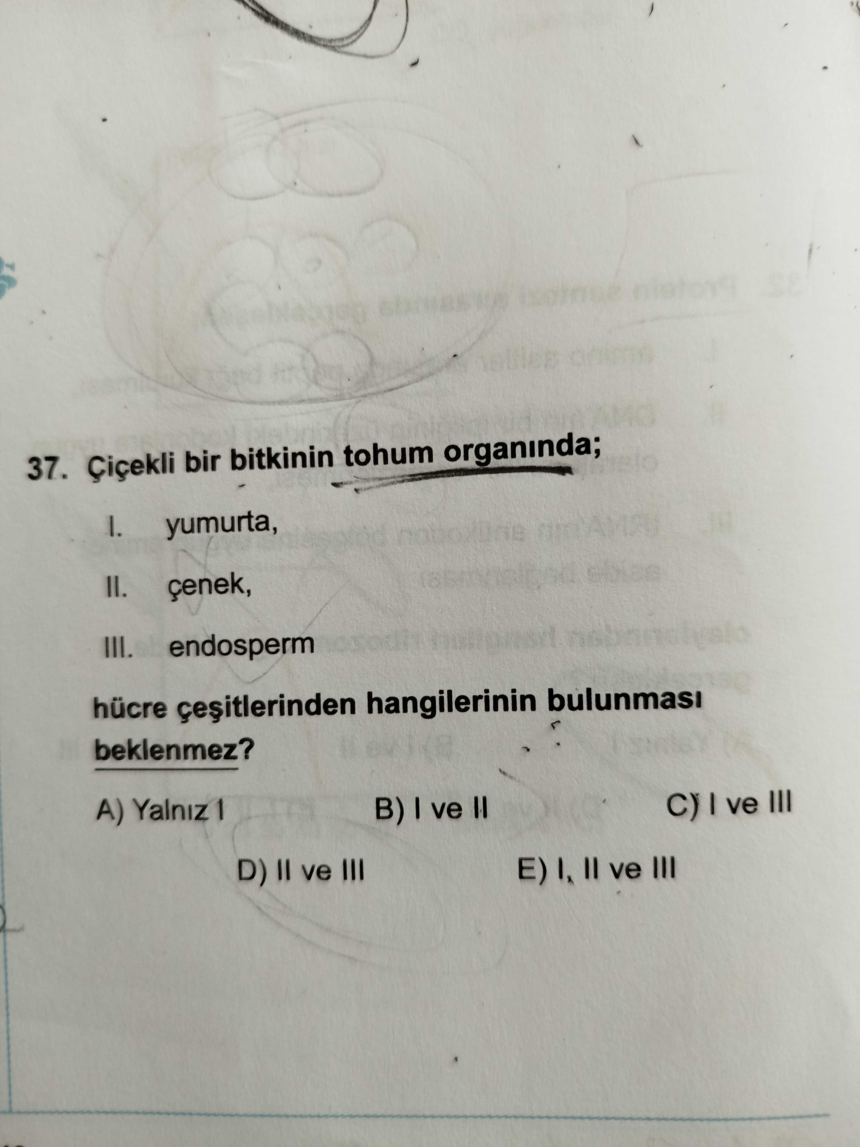Çiçekli bir bitkinin tohum organında; I. yumurta, II. çenek, III. endosperm hücre çeşitlerinden