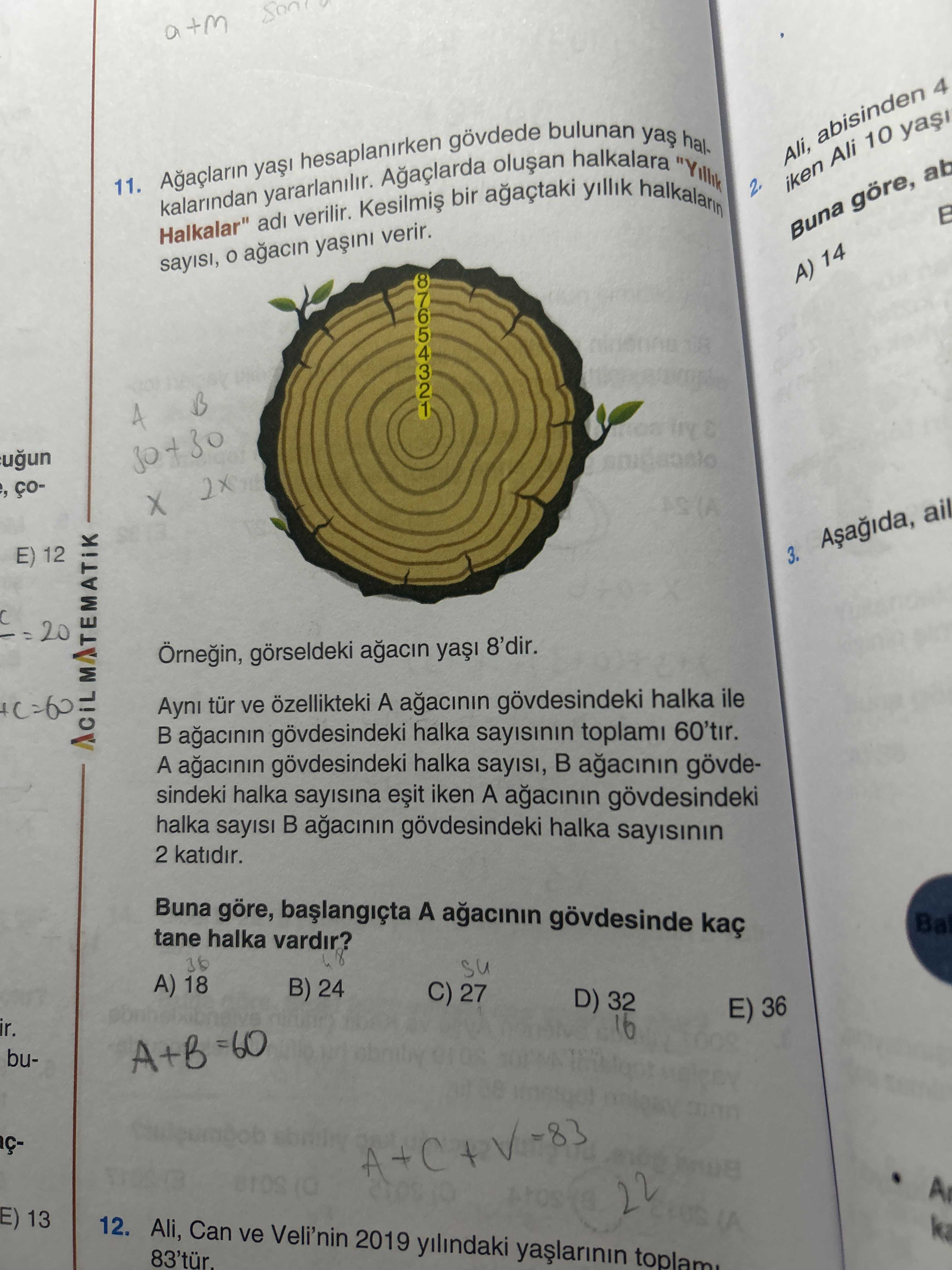 Matematik (12. Sınıf)