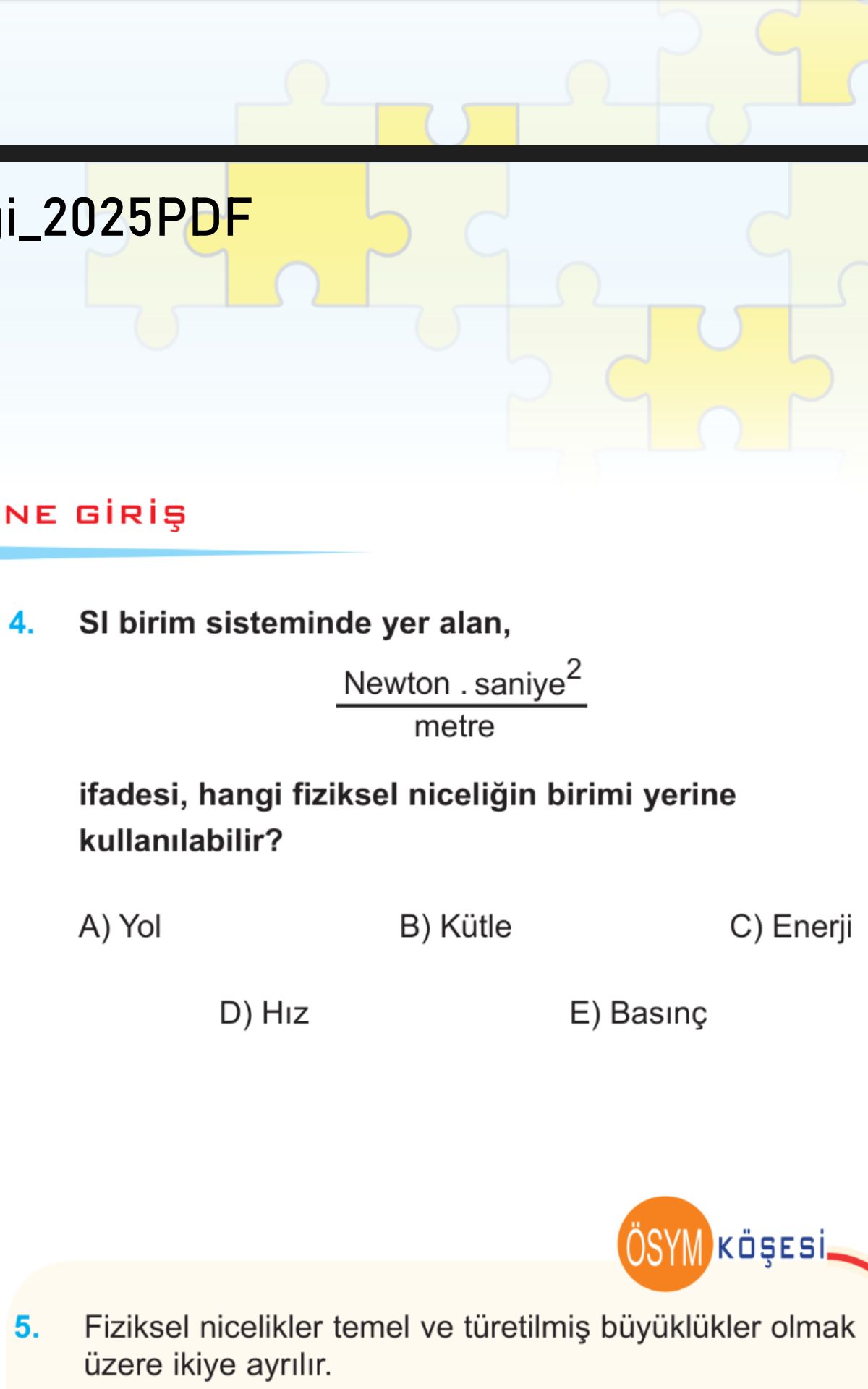 Fizik (12. Sınıf)