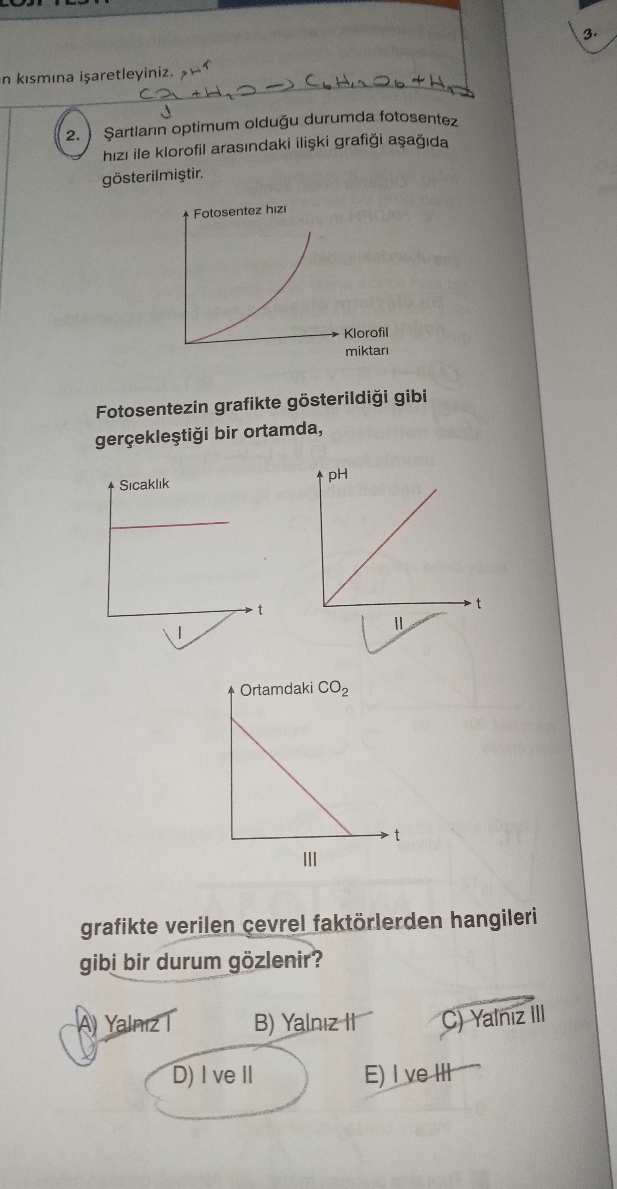 Şartların optimum olduğu durumda fotosentez hızı ile klorofil arasındaki ilişki grafiği aşağıda