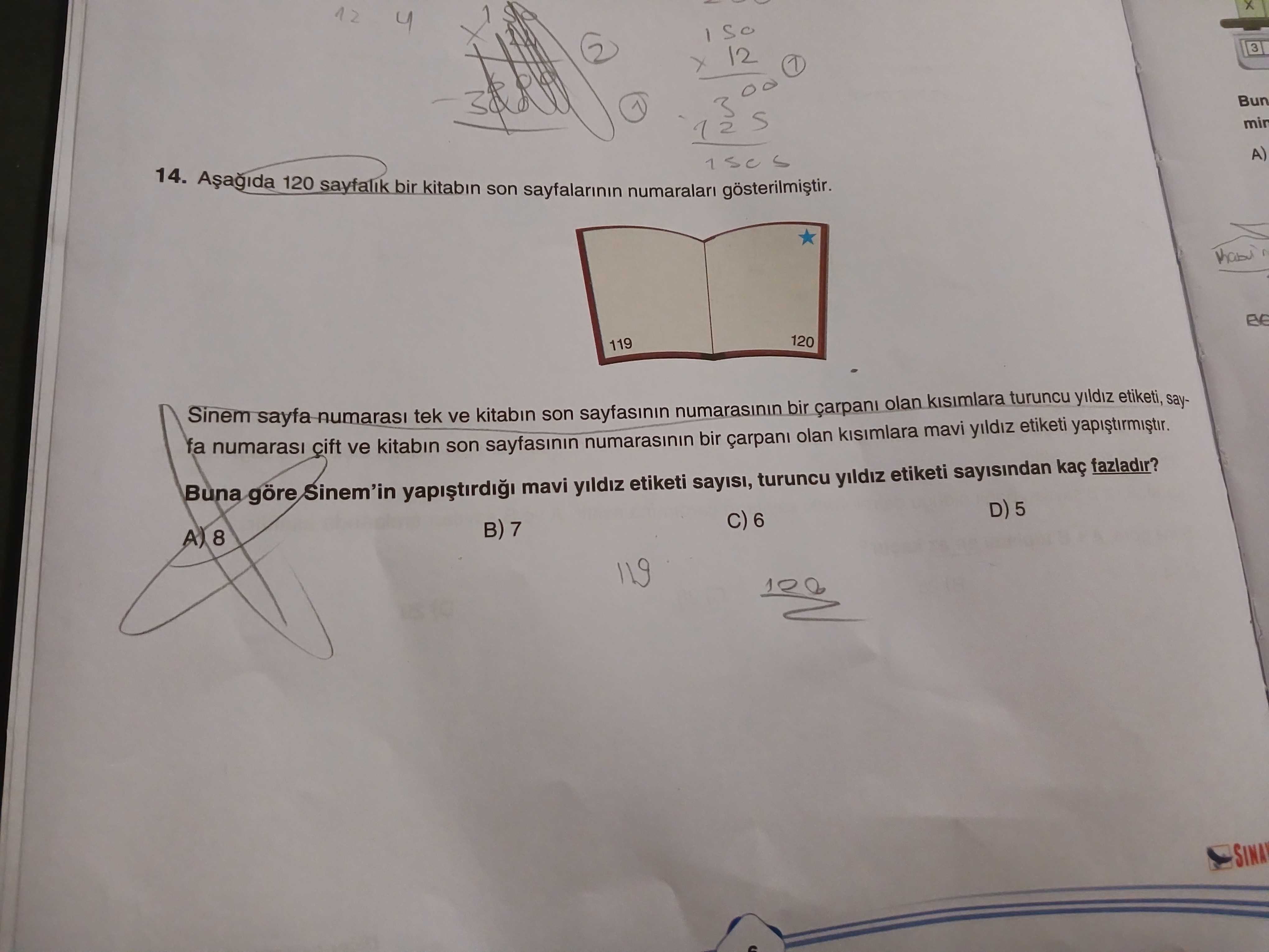 Matematik (8. Sınıf)