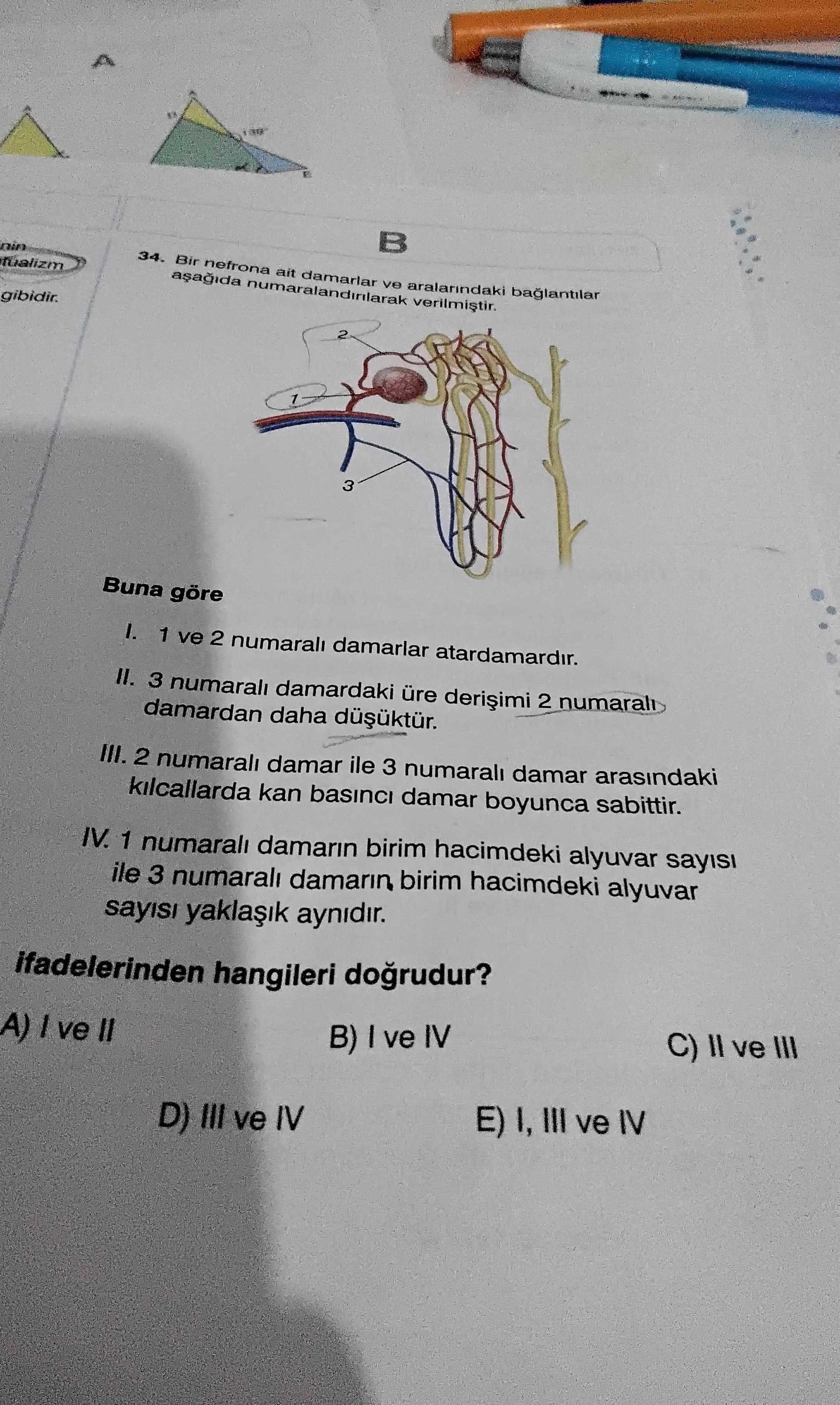 Bir nefrona ait damarlar ve aralarındaki bağlantılar aşağıda numaralandırılarak verilmiştir. Buna