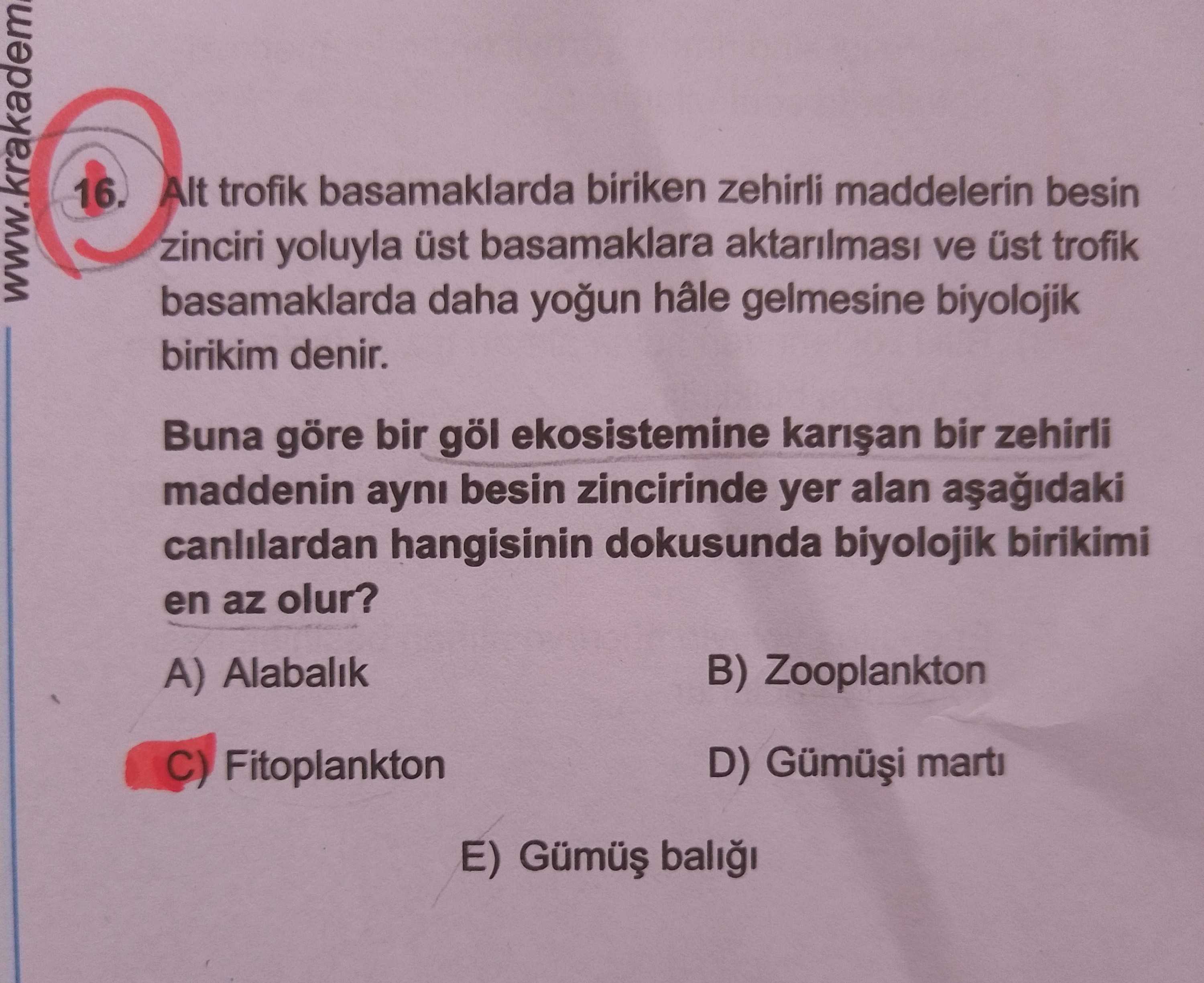 Alt trofik basamaklarda biriken zehirli maddelerin besin zinciri yoluyla üst basamaklara aktarılması