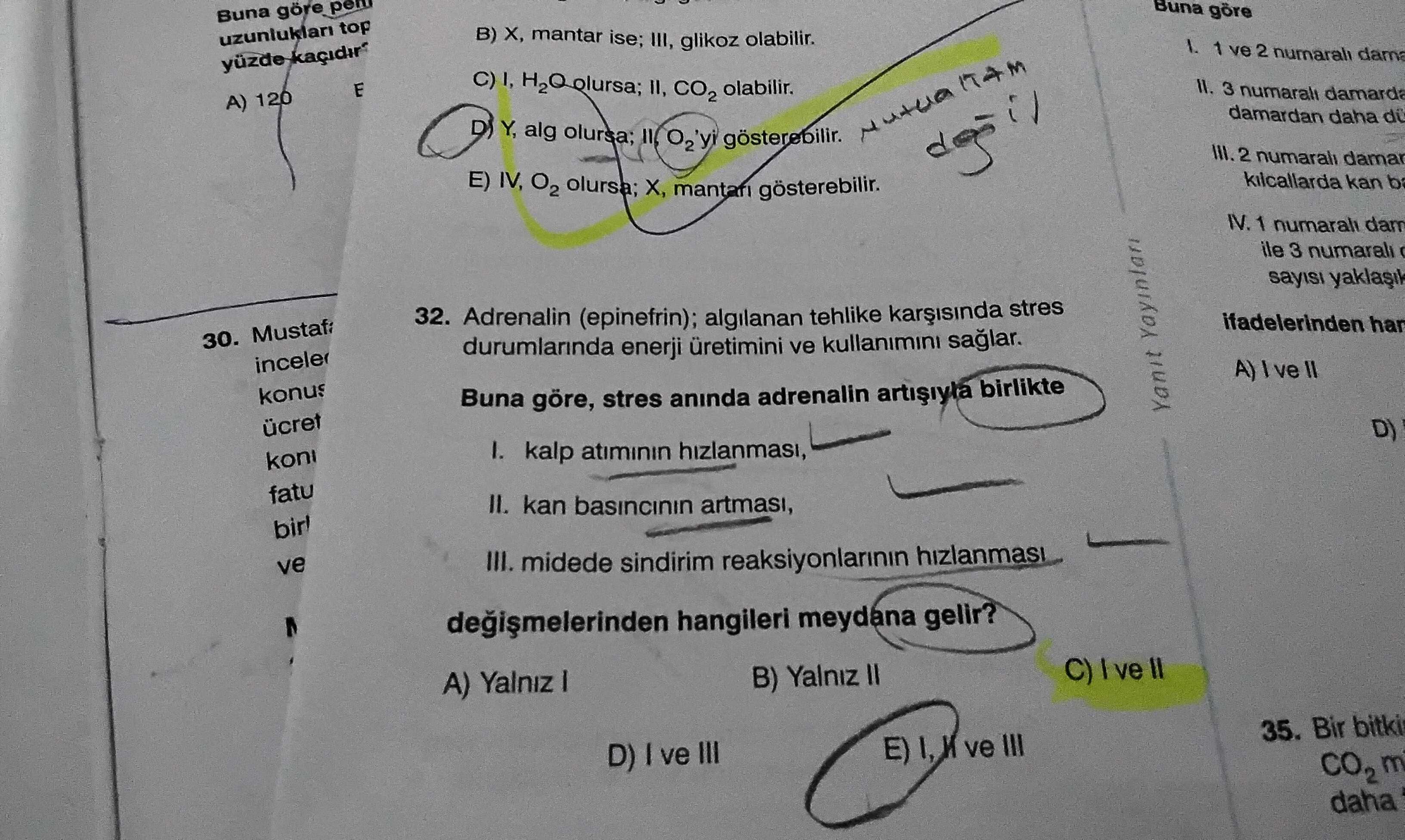 Adrenalin (epinefrin); algılanan tehlike karşısında stres durumlarında enerji üretimini ve