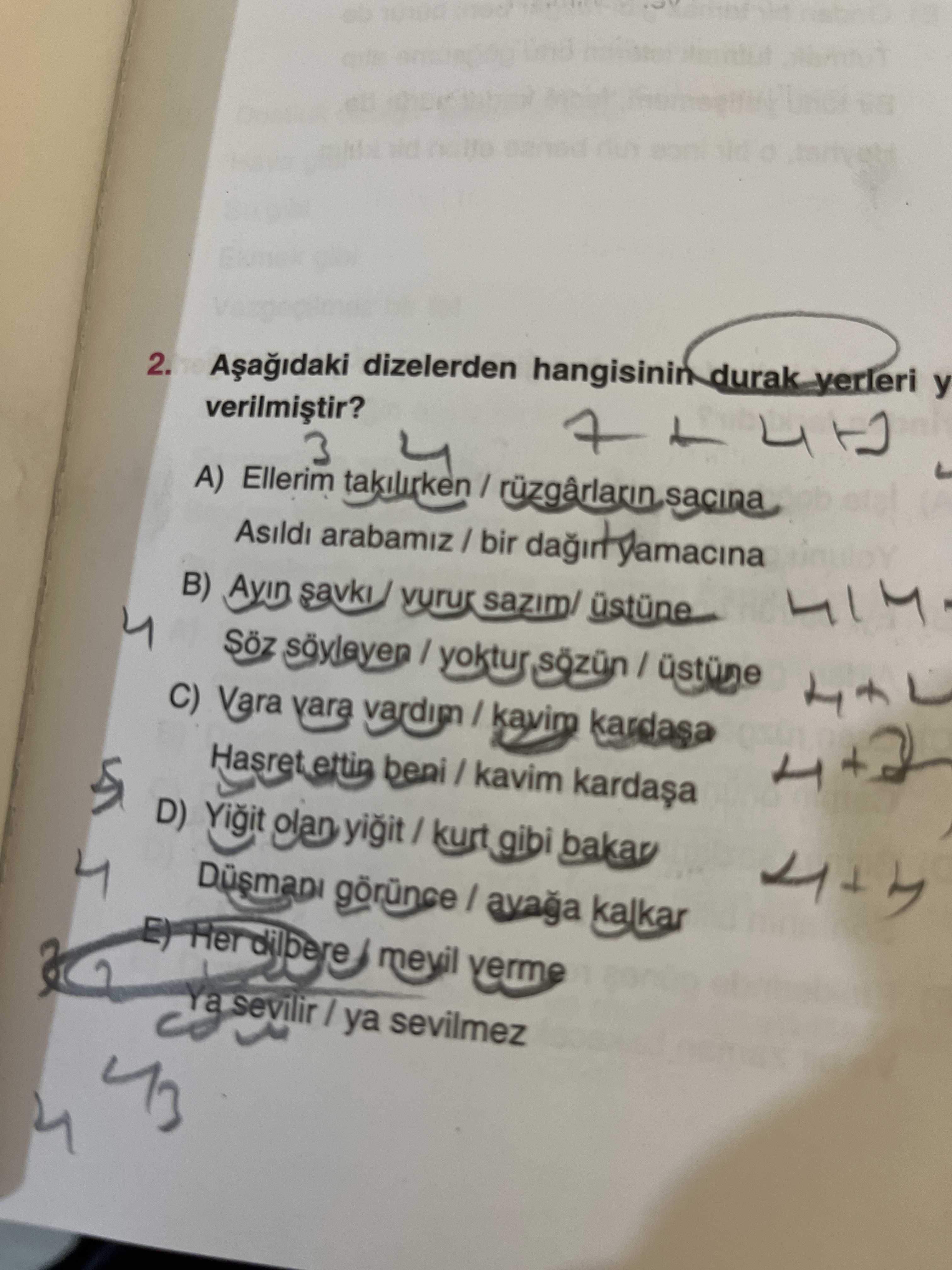 Türk Dili ve Edebiyatı  (11. Sınıf)