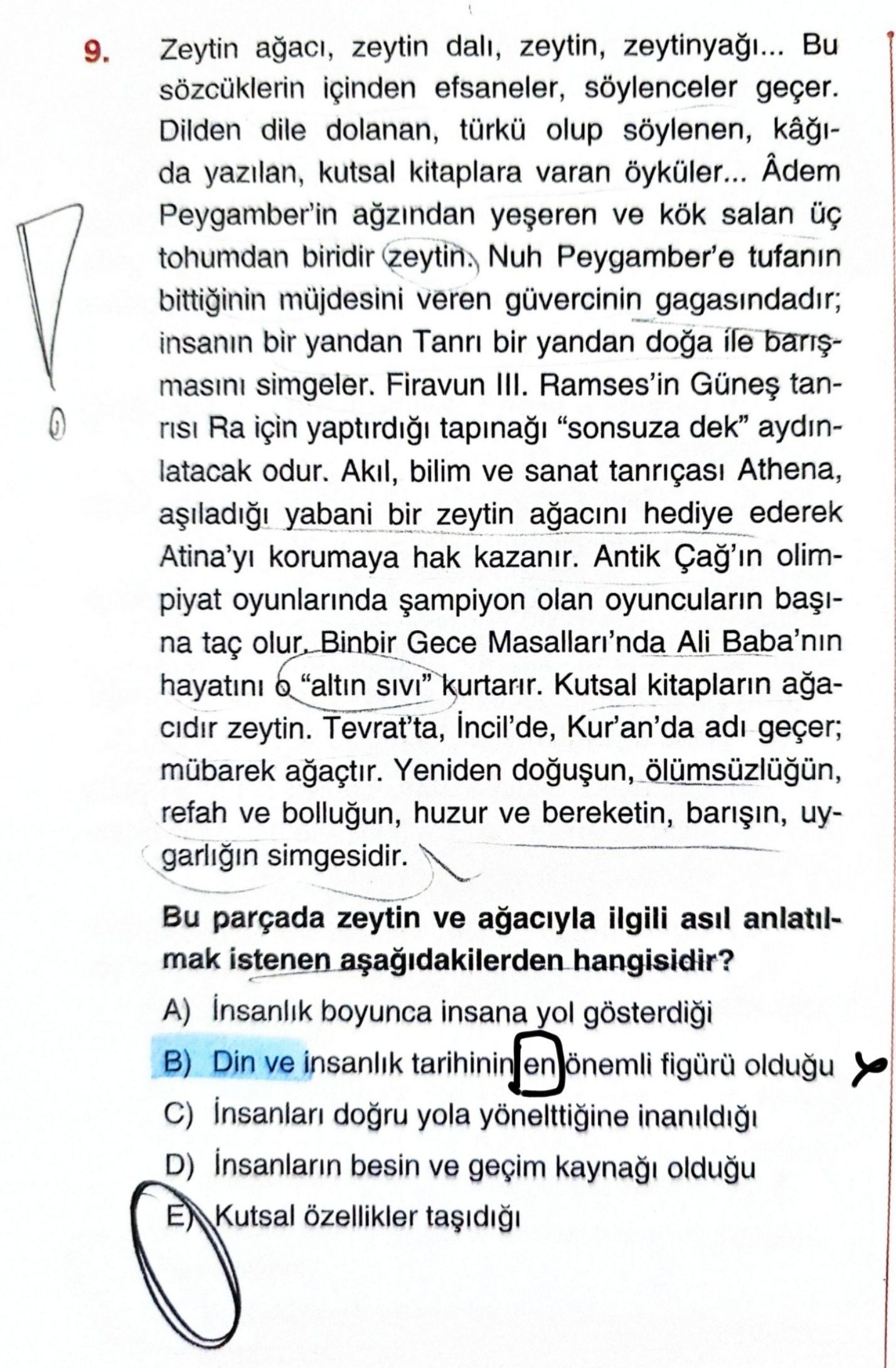 Zeytin ağacı, zeytin dalı, zeytin, zeytinyağı... Bu sözcüklerin içinden efsaneler, söylenceler