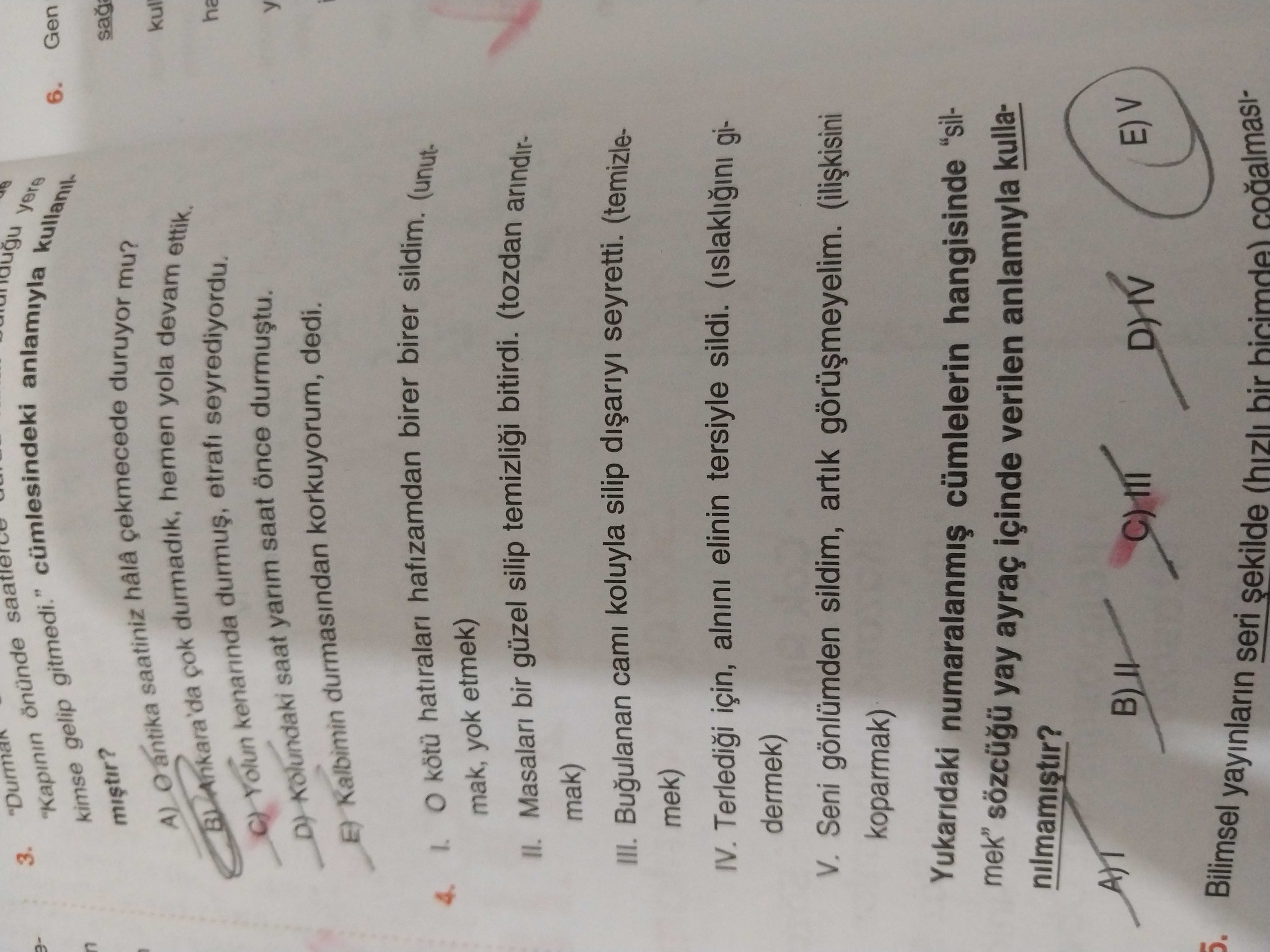 Türkçe (12. Sınıf)