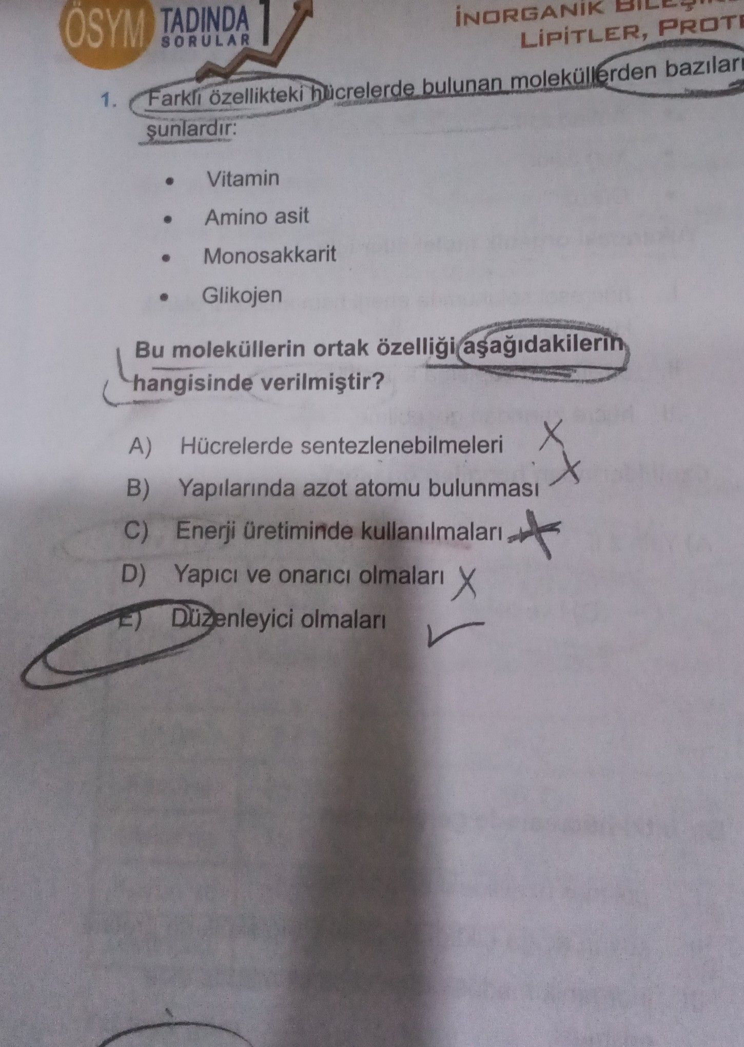 Farklı özellikteki hücrelerde bulunan moleküllerden bazıları şunlardır: • Vitamin • Amino asit •