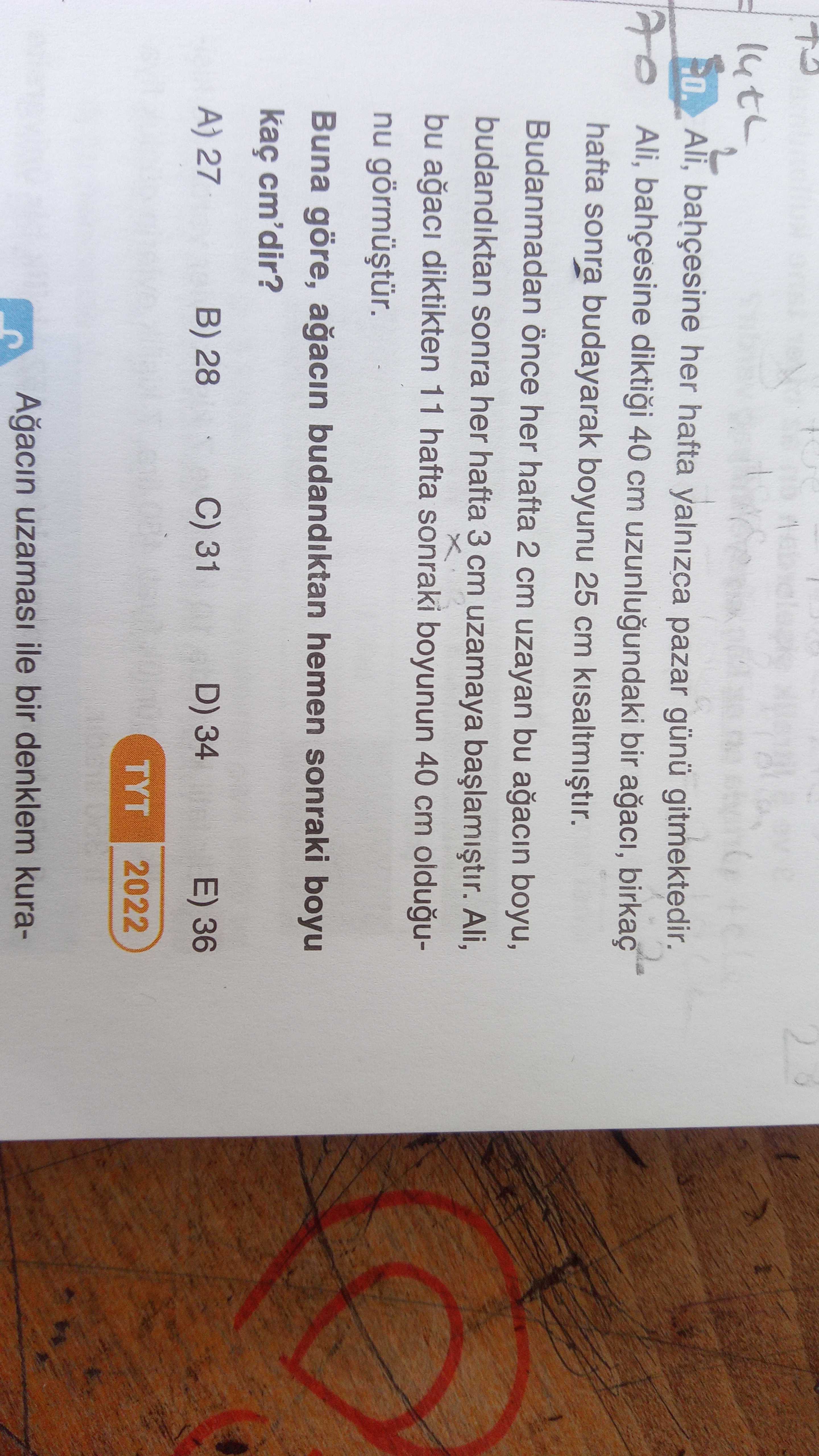 Matematik (12. Sınıf)