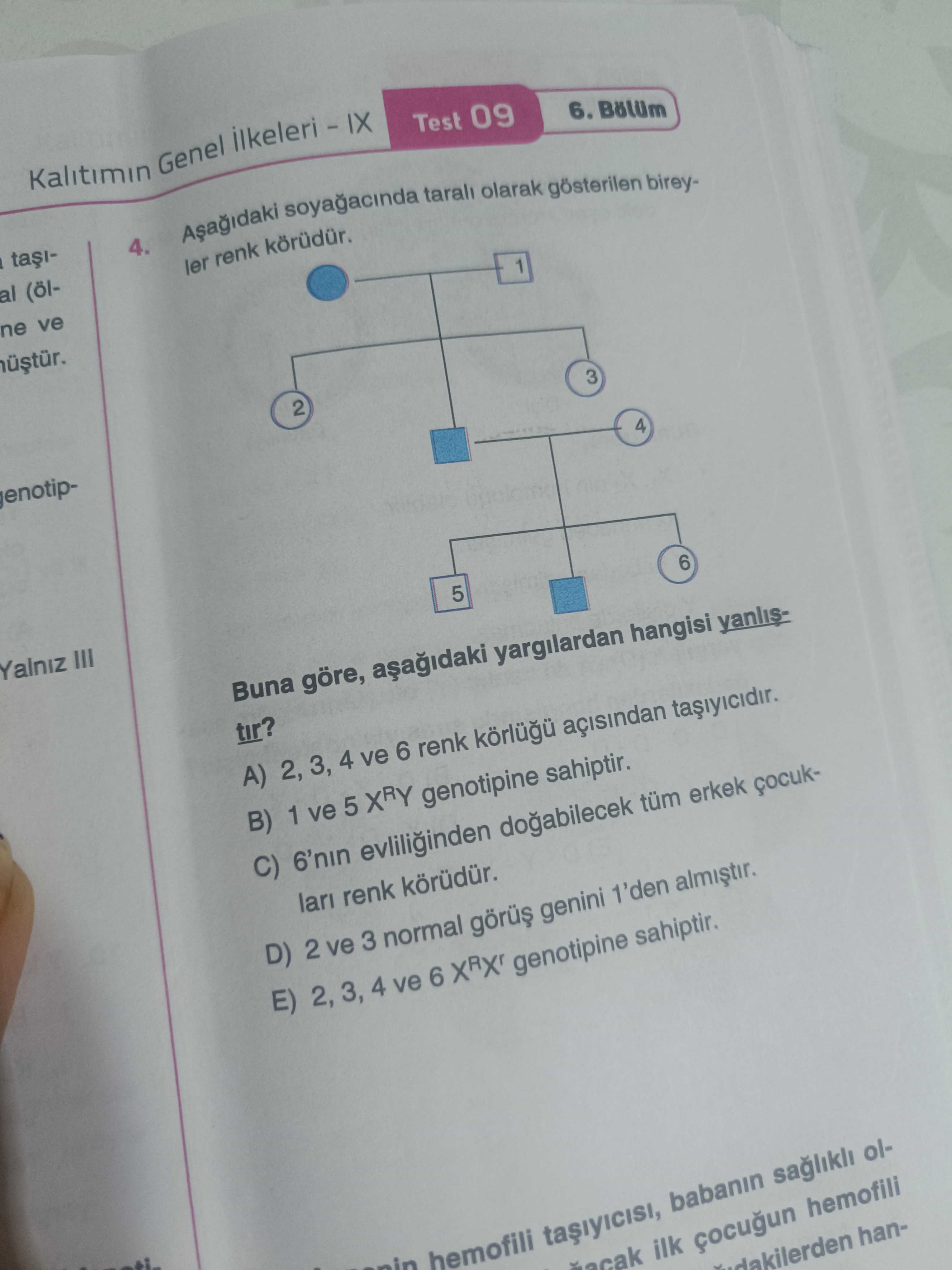 Biyoloji (12. Sınıf)
