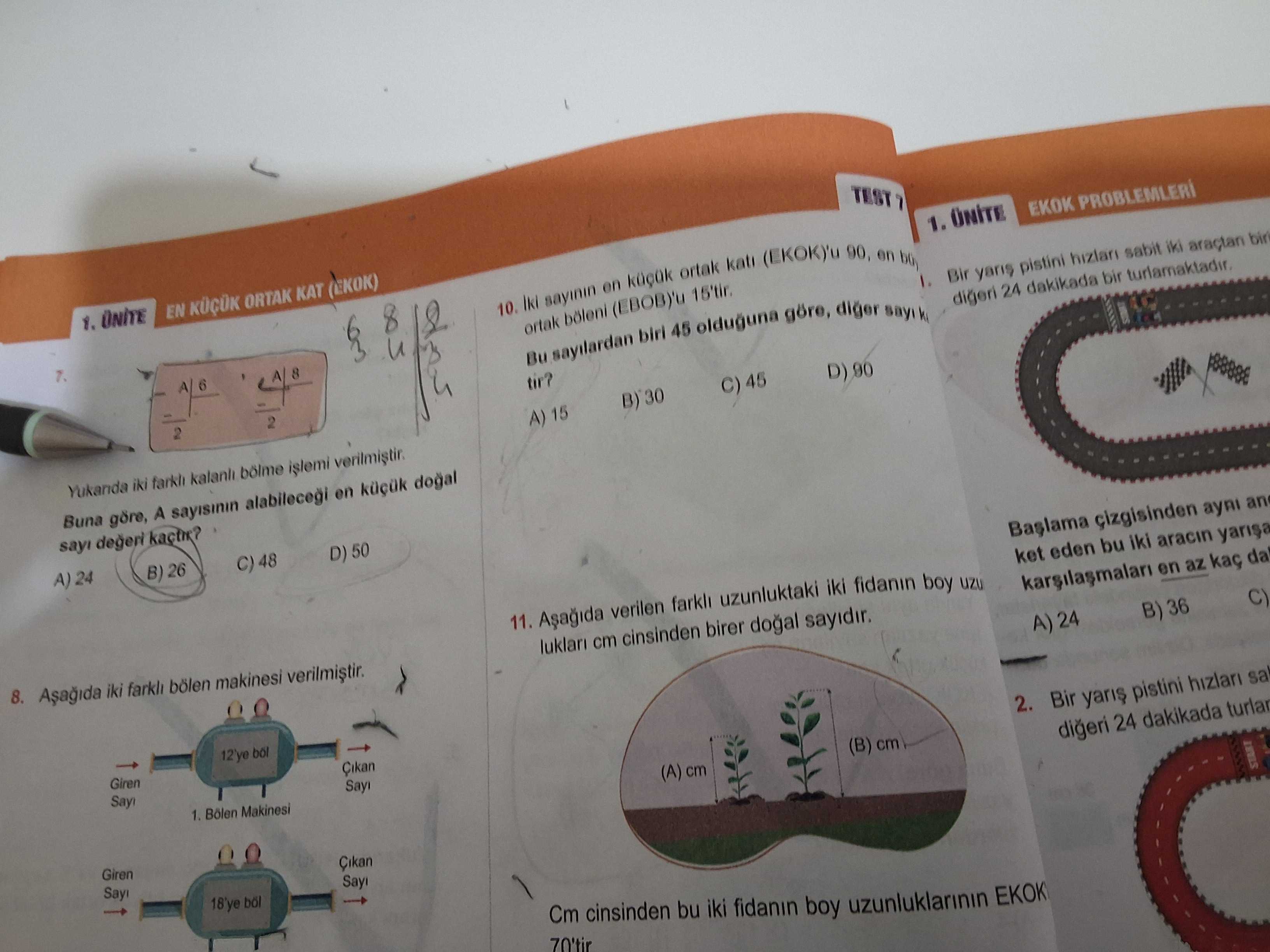 Matematik (8. Sınıf)