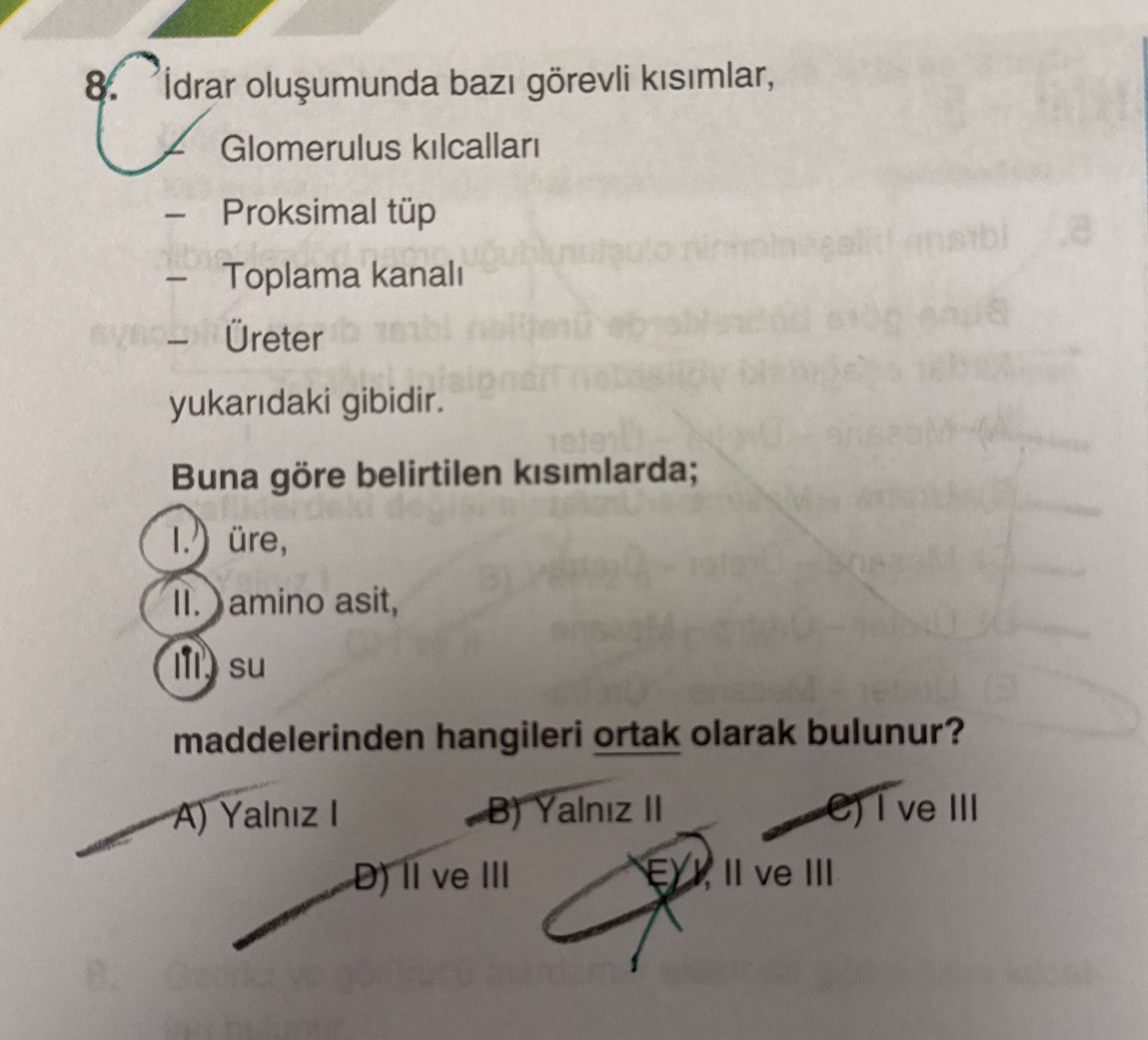 İdrar oluşumunda bazı görevli kısımlar, - Glomerulus kılcalları - Proksimal tüp - Toplama kanalı