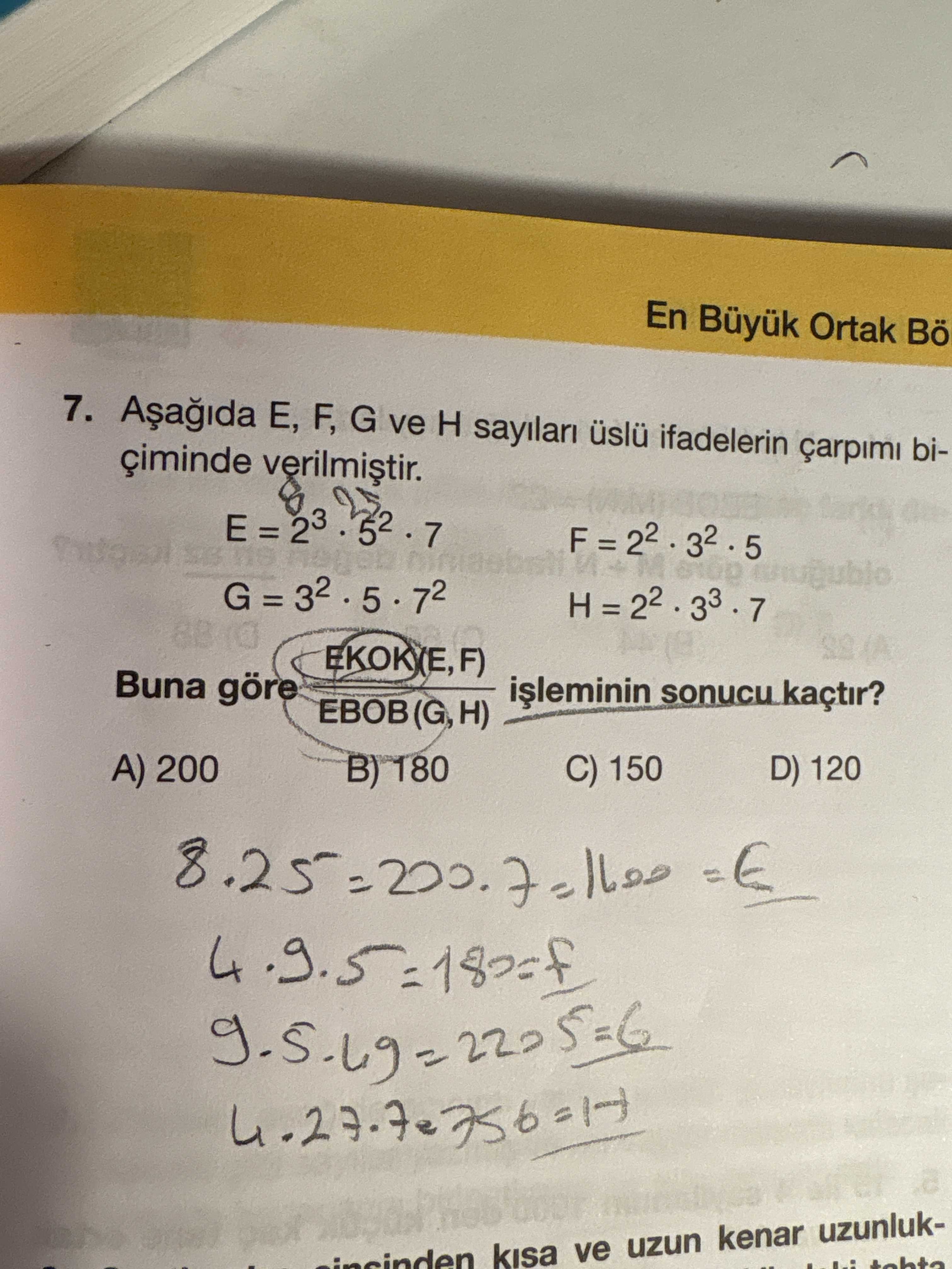 Matematik (8. Sınıf)