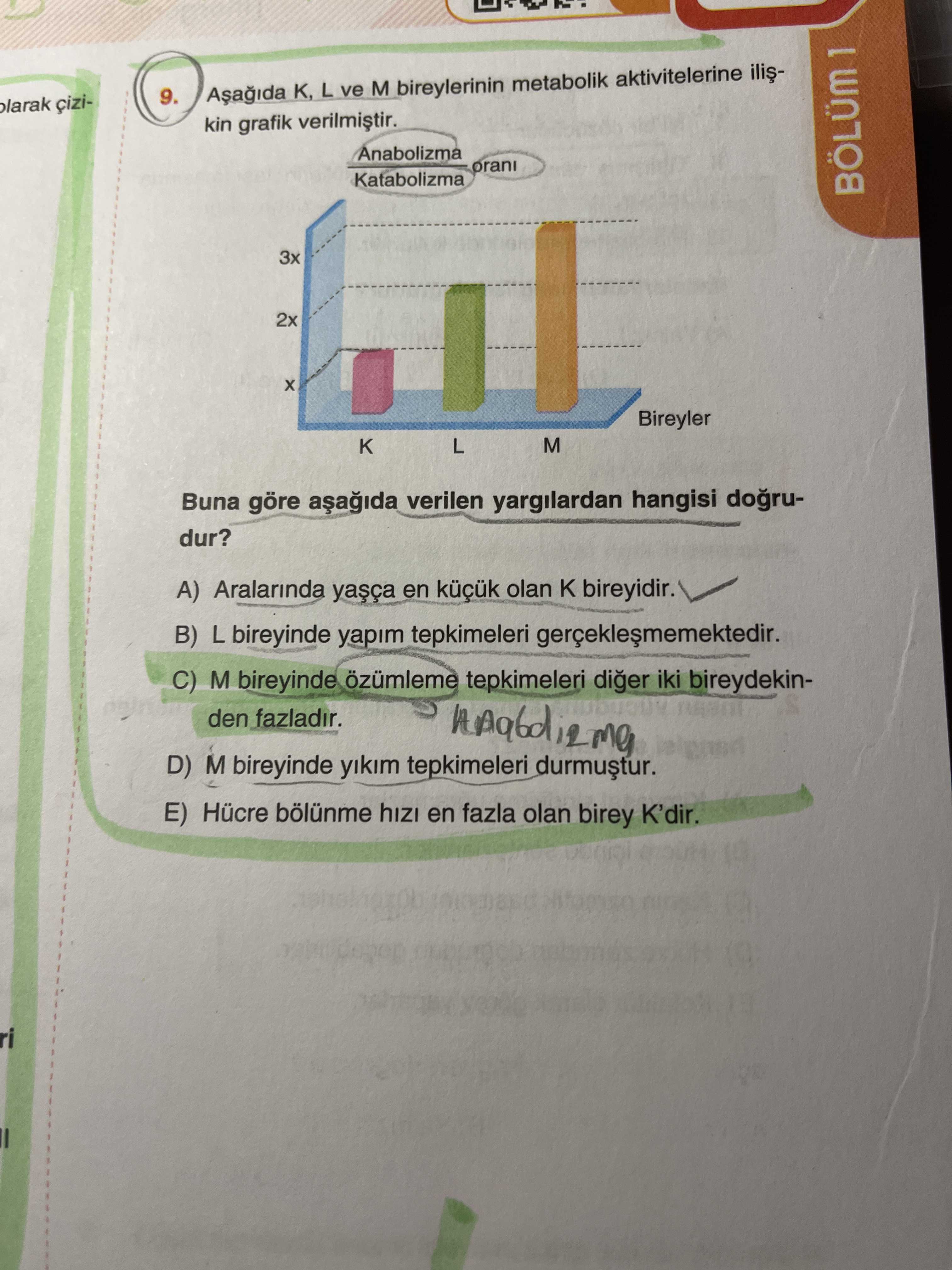 Biyoloji (11. Sınıf)