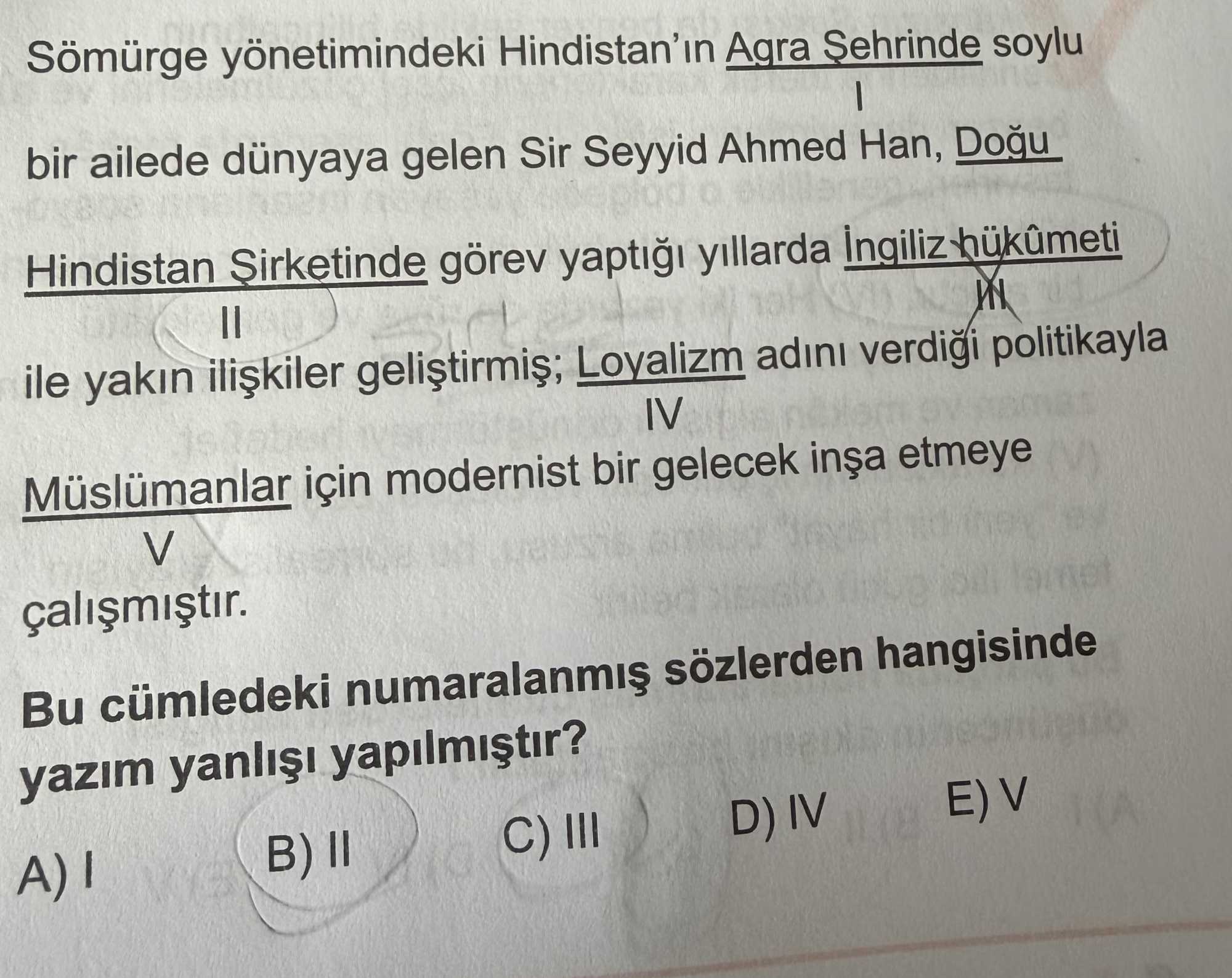 Sömürge yönetimindeki Hindistan'ın Agra Şehrinde soylu I bir ailede dünyaya gelen Sir Seyyid Ahmed