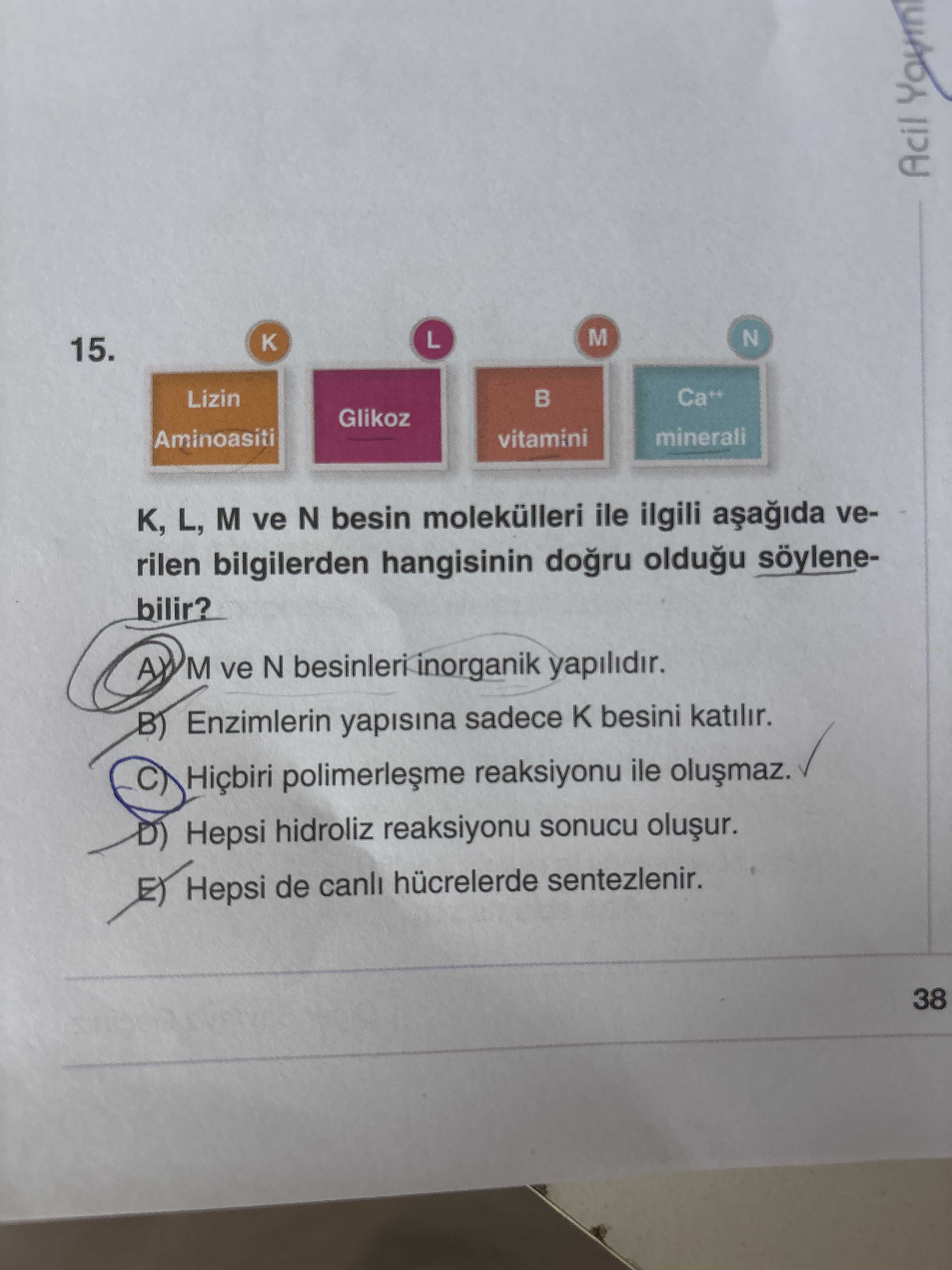 K, L, M ve N besin molekülleri ile ilgili aşağıda verilen bilgilerden hangisinin doğru olduğu
