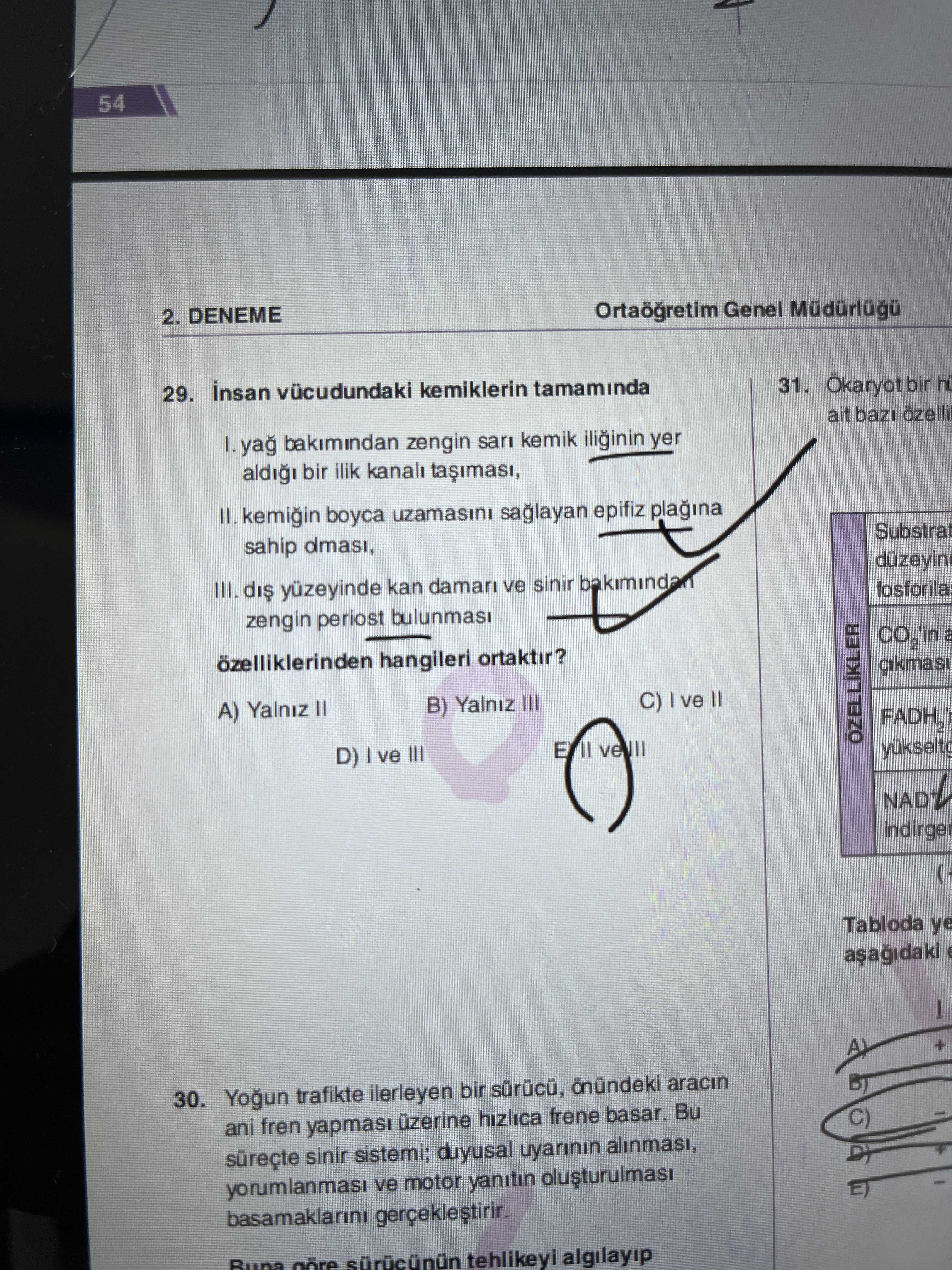 İnsan vücudundaki kemiklerin tamamında I. yağ bakımından zengin sarı kemik iliğinin yer aldığı bir