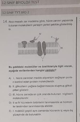 Akıcı mozaik zar modeline göre, hücre zarının yapısında bulunan moleküllerin yerleşim yerleri